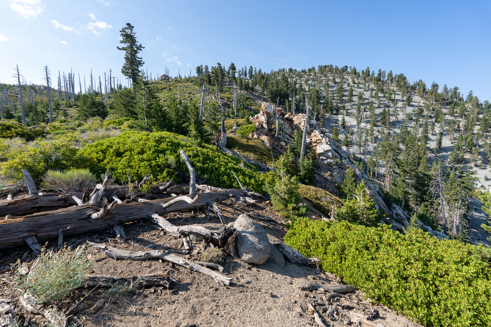 Trip report photo for Sugaloaf Peak, Ontario Peak, and Bighorn Peak Loop