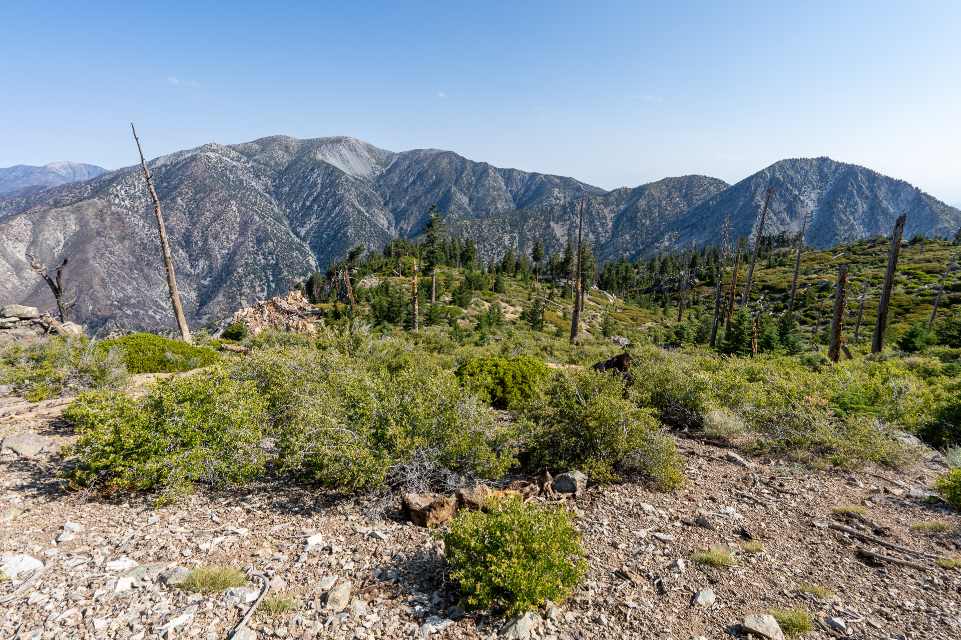 Trip report photo for Sugaloaf Peak, Ontario Peak, and Bighorn Peak Loop
