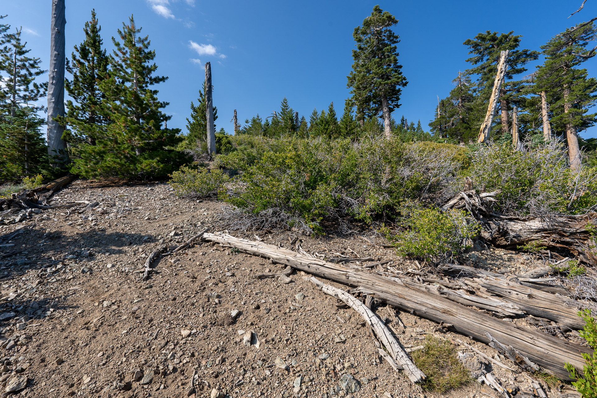 Trip report photo for Sugaloaf Peak, Ontario Peak, and Bighorn Peak Loop