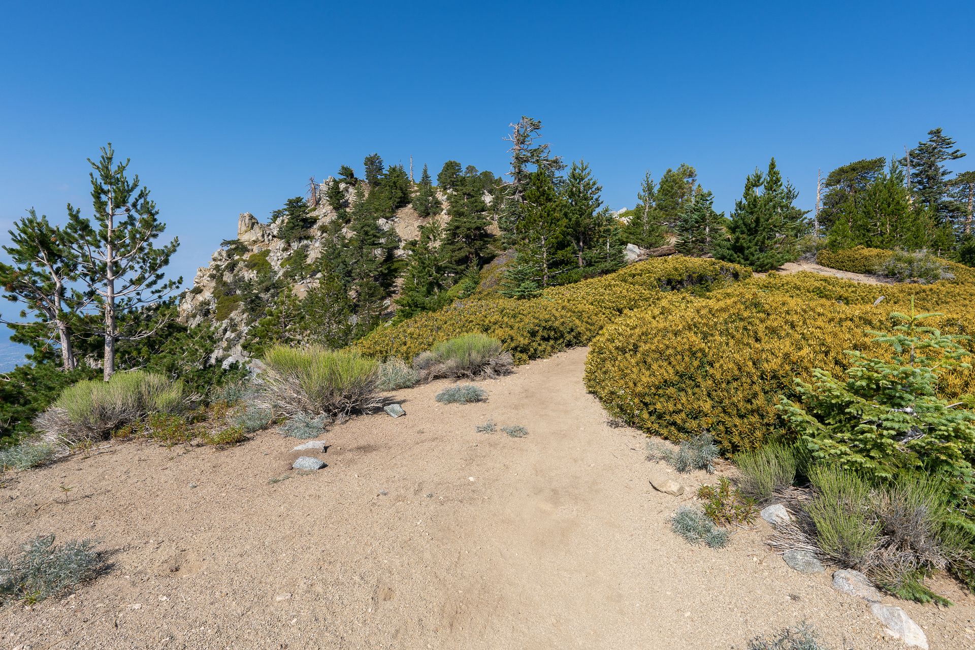 Trip report photo for Sugaloaf Peak, Ontario Peak, and Bighorn Peak Loop