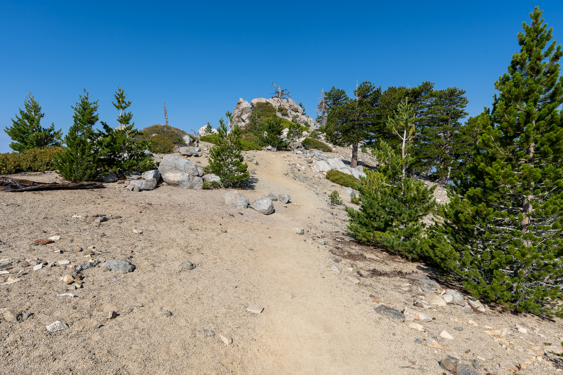 Trip report photo for Sugaloaf Peak, Ontario Peak, and Bighorn Peak Loop