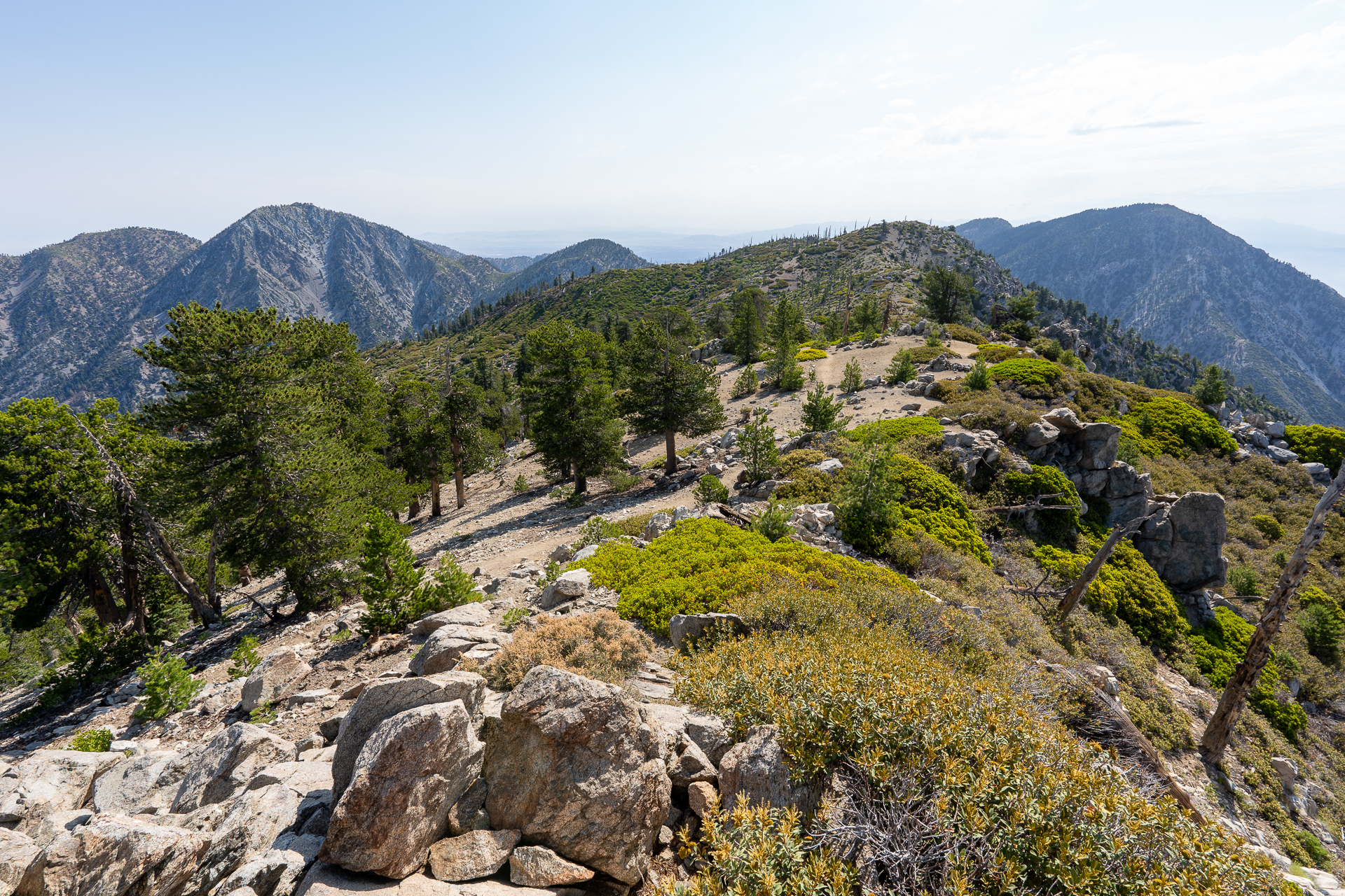 Trip report photo for Sugaloaf Peak, Ontario Peak, and Bighorn Peak Loop
