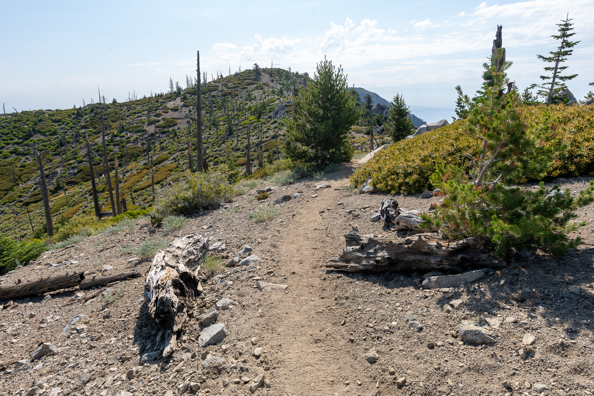 Trip report photo for Sugaloaf Peak, Ontario Peak, and Bighorn Peak Loop