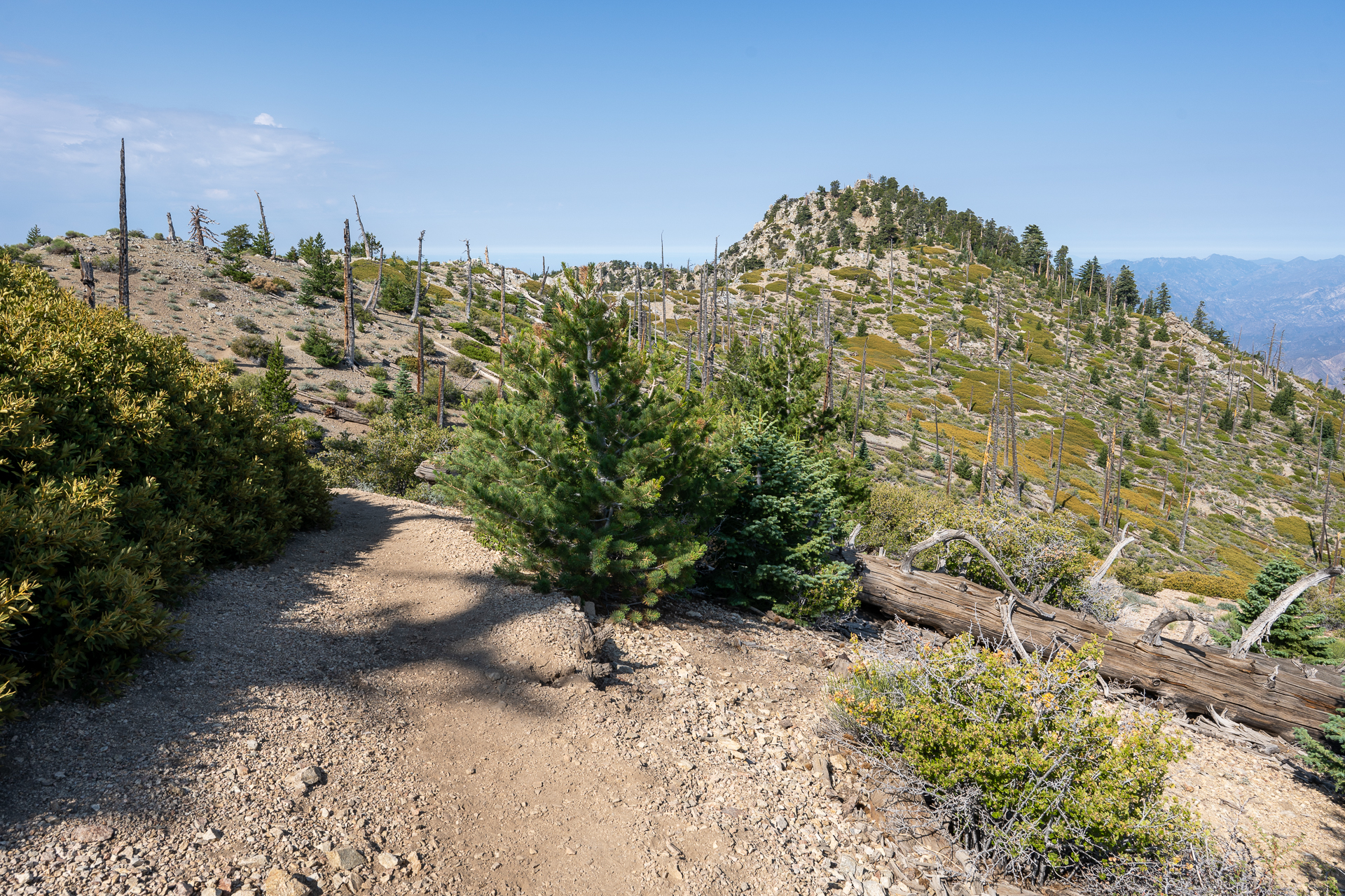 Trip report photo for Sugaloaf Peak, Ontario Peak, and Bighorn Peak Loop