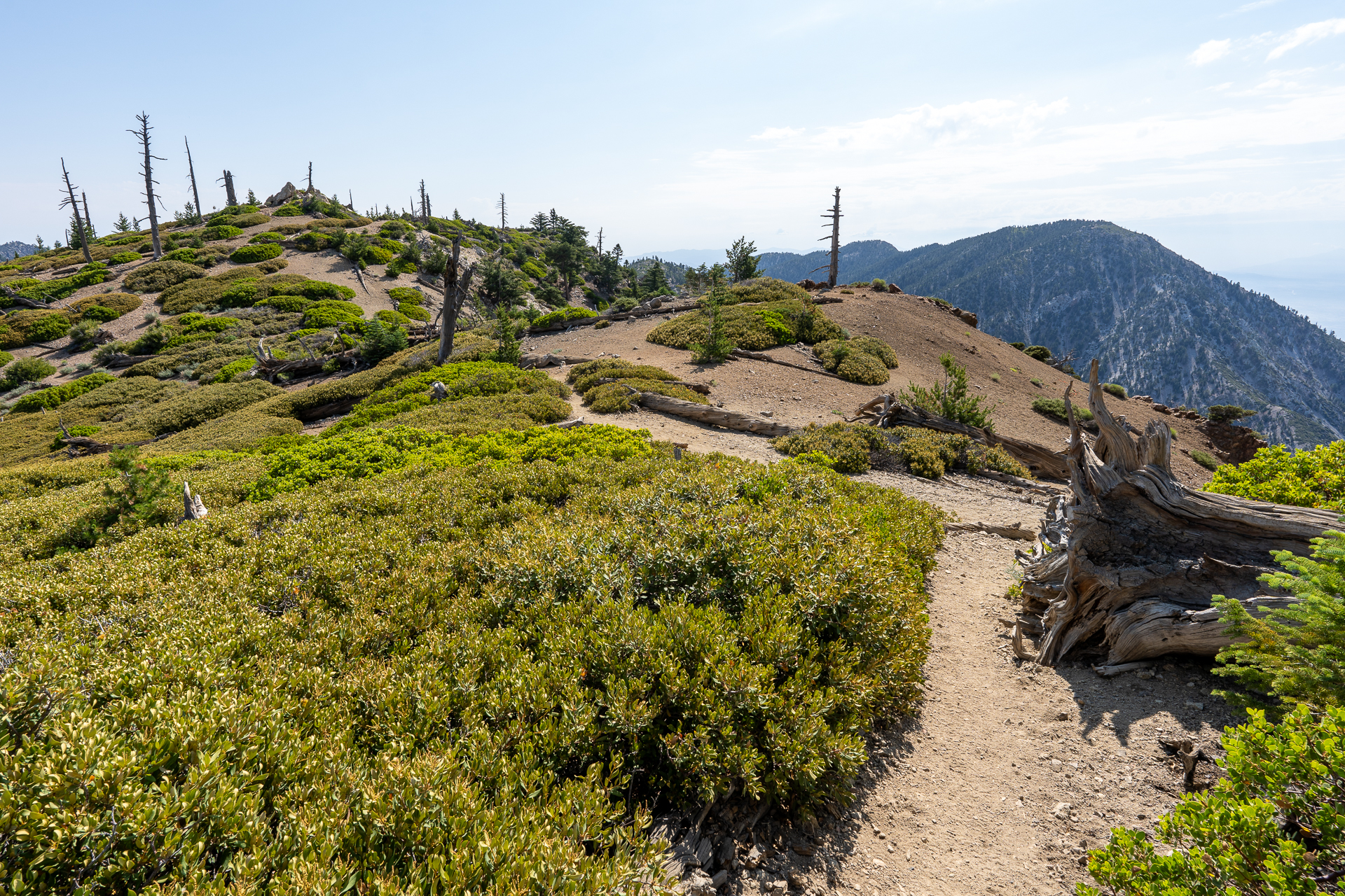 Trip report photo for Sugaloaf Peak, Ontario Peak, and Bighorn Peak Loop
