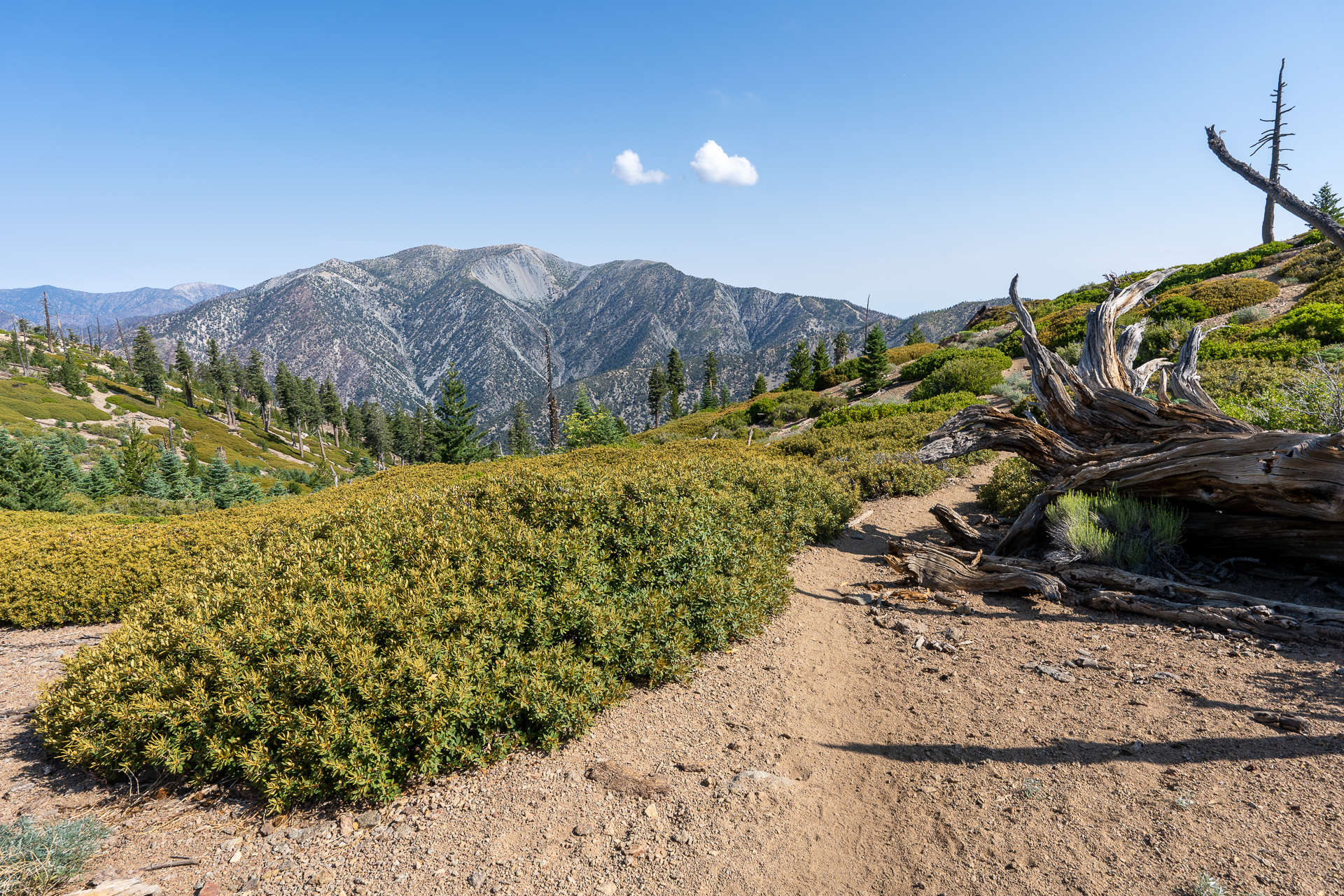 Trip report photo for Sugaloaf Peak, Ontario Peak, and Bighorn Peak Loop