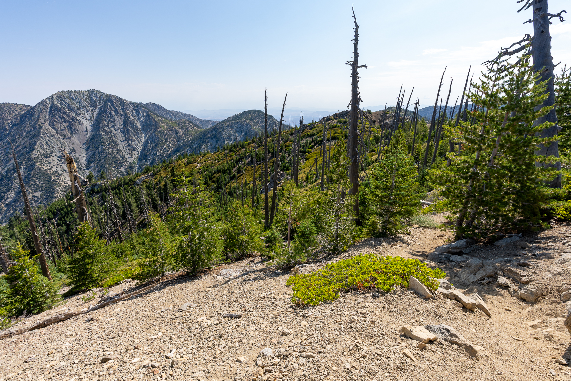 Trip report photo for Sugaloaf Peak, Ontario Peak, and Bighorn Peak Loop
