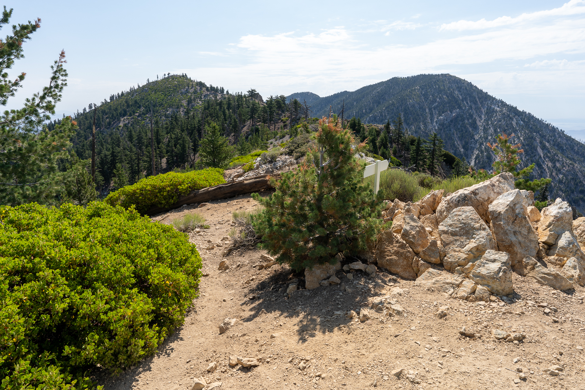 Trip report photo for Sugaloaf Peak, Ontario Peak, and Bighorn Peak Loop