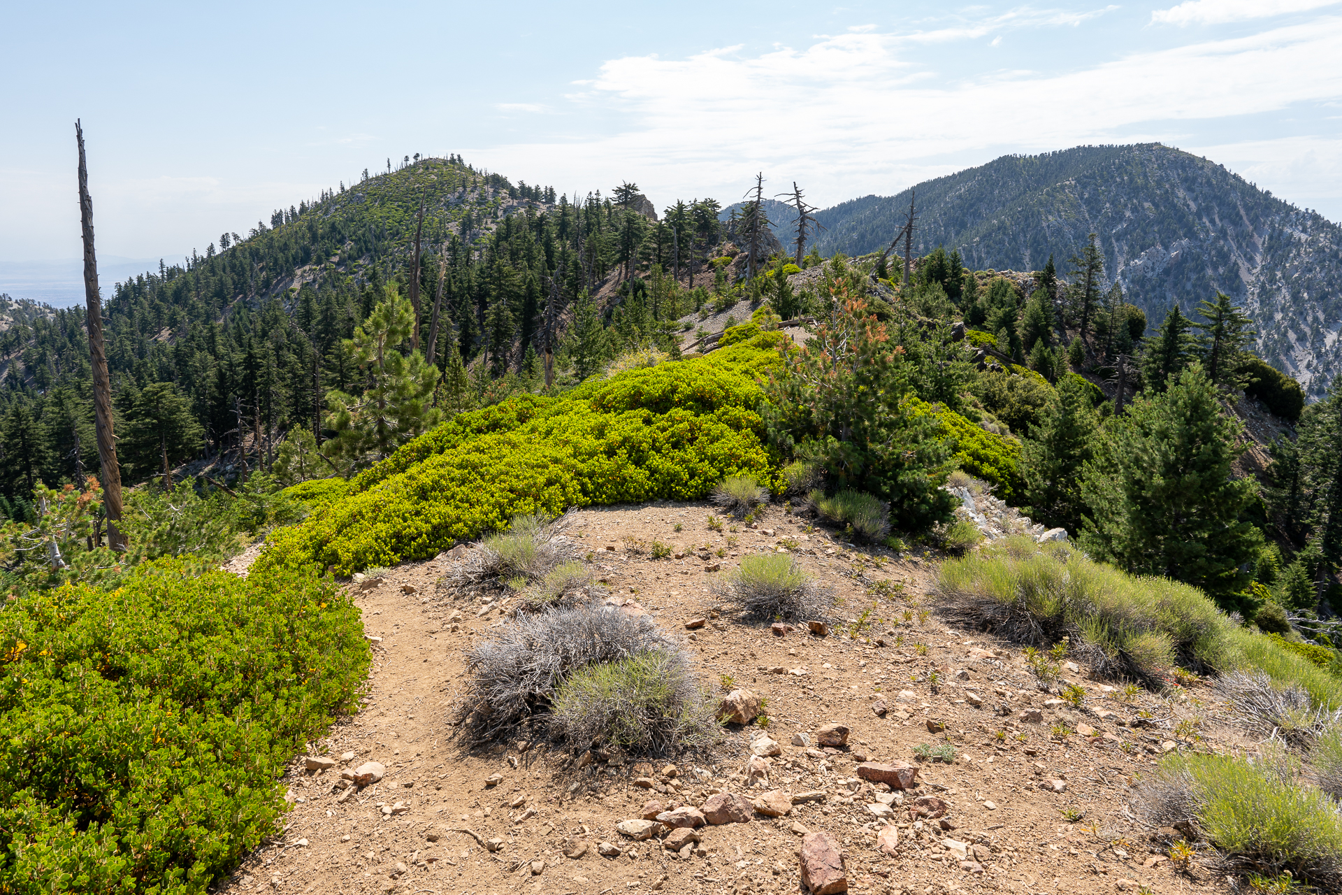 Trip report photo for Sugaloaf Peak, Ontario Peak, and Bighorn Peak Loop