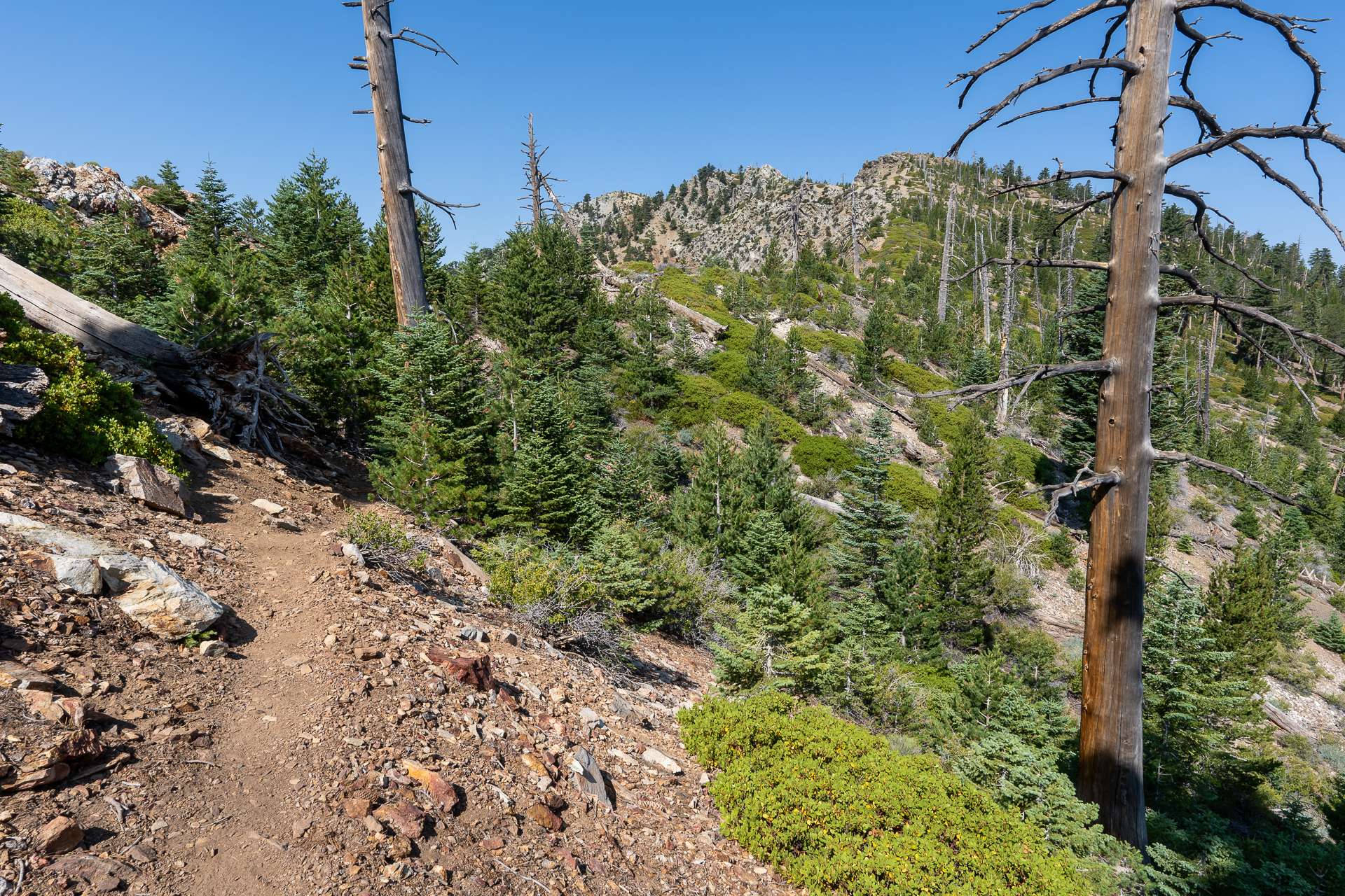 Trip report photo for Sugaloaf Peak, Ontario Peak, and Bighorn Peak Loop