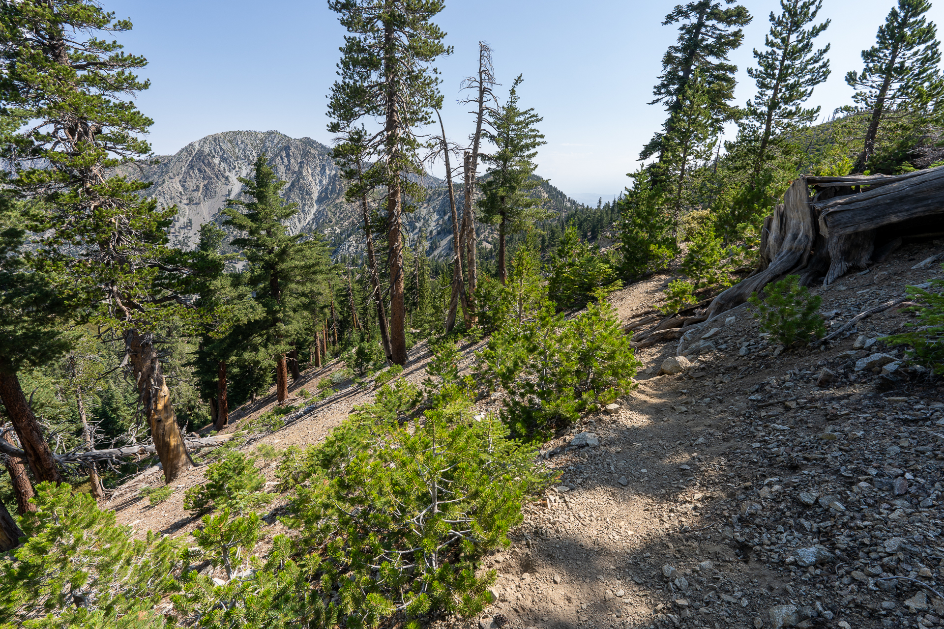 Trip report photo for Sugaloaf Peak, Ontario Peak, and Bighorn Peak Loop
