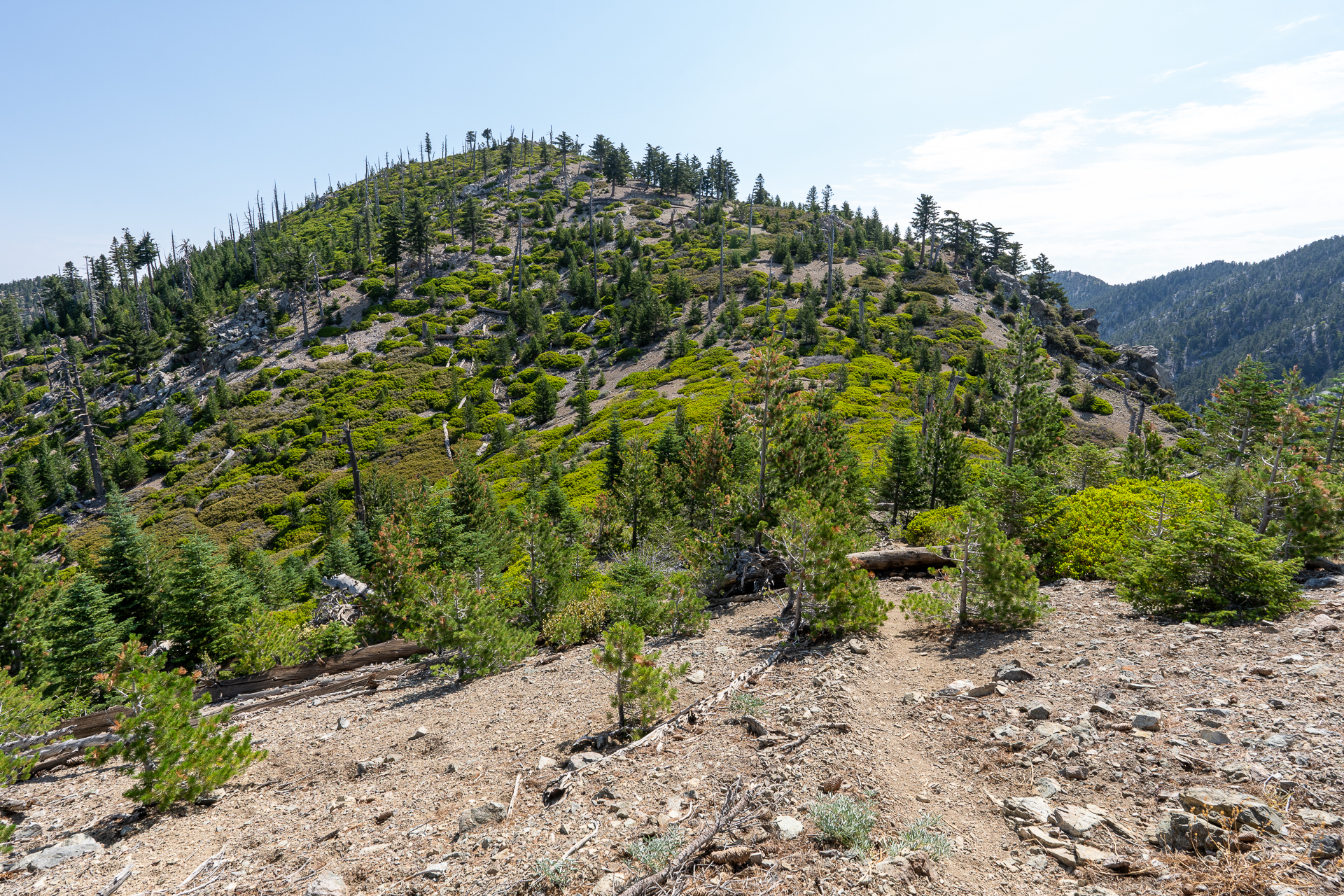 Trip report photo for Sugaloaf Peak, Ontario Peak, and Bighorn Peak Loop