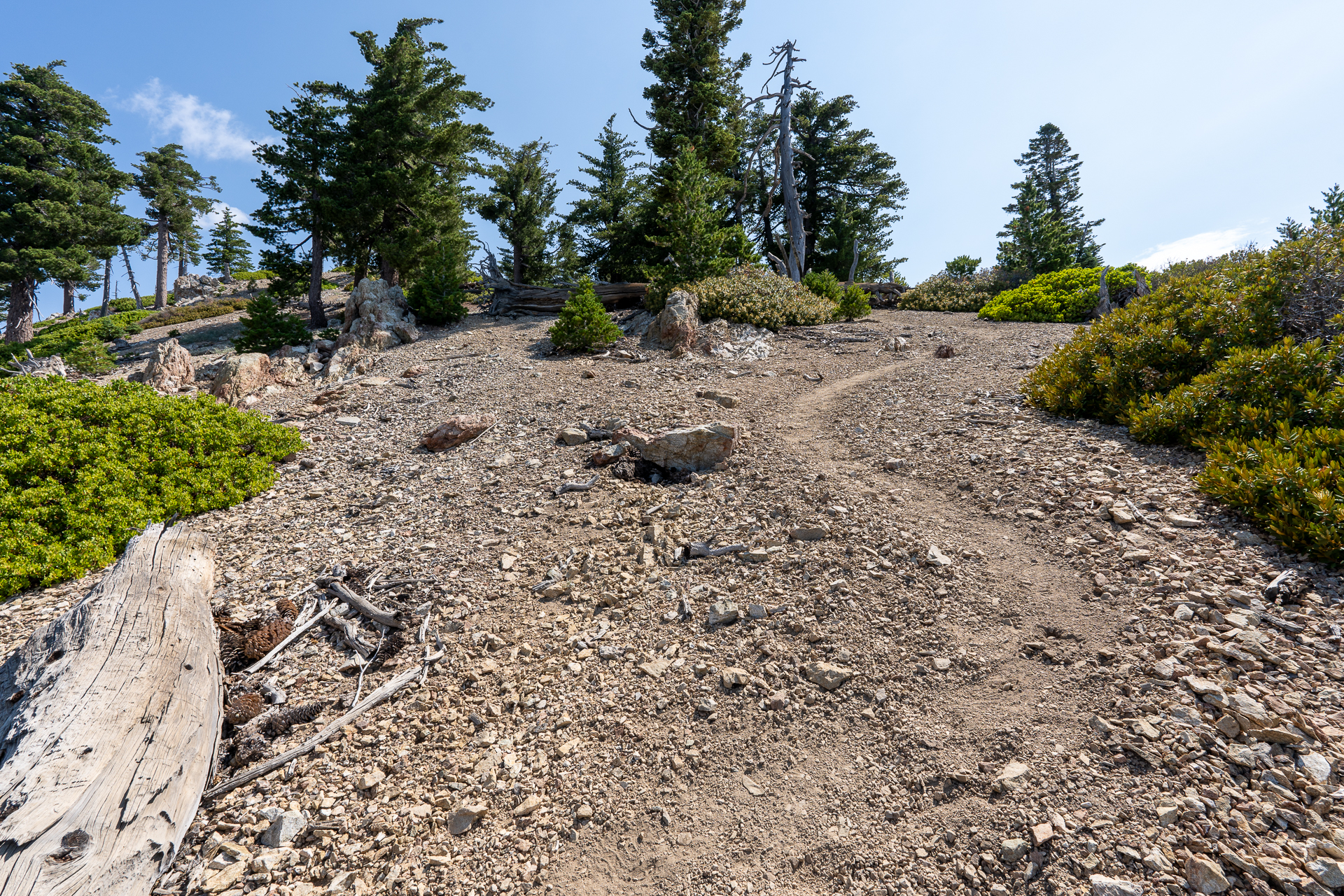Trip report photo for Sugaloaf Peak, Ontario Peak, and Bighorn Peak Loop