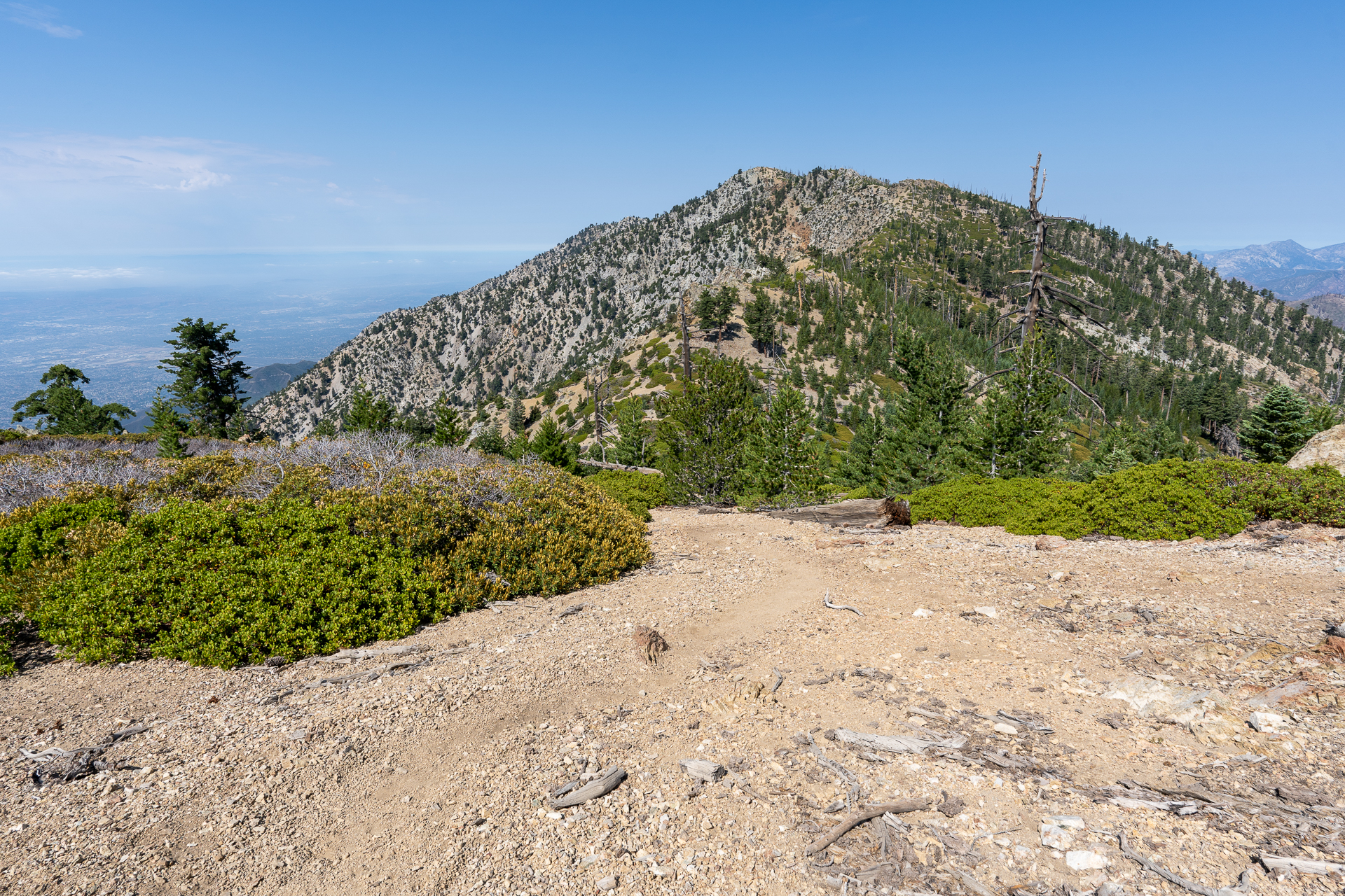 Trip report photo for Sugaloaf Peak, Ontario Peak, and Bighorn Peak Loop