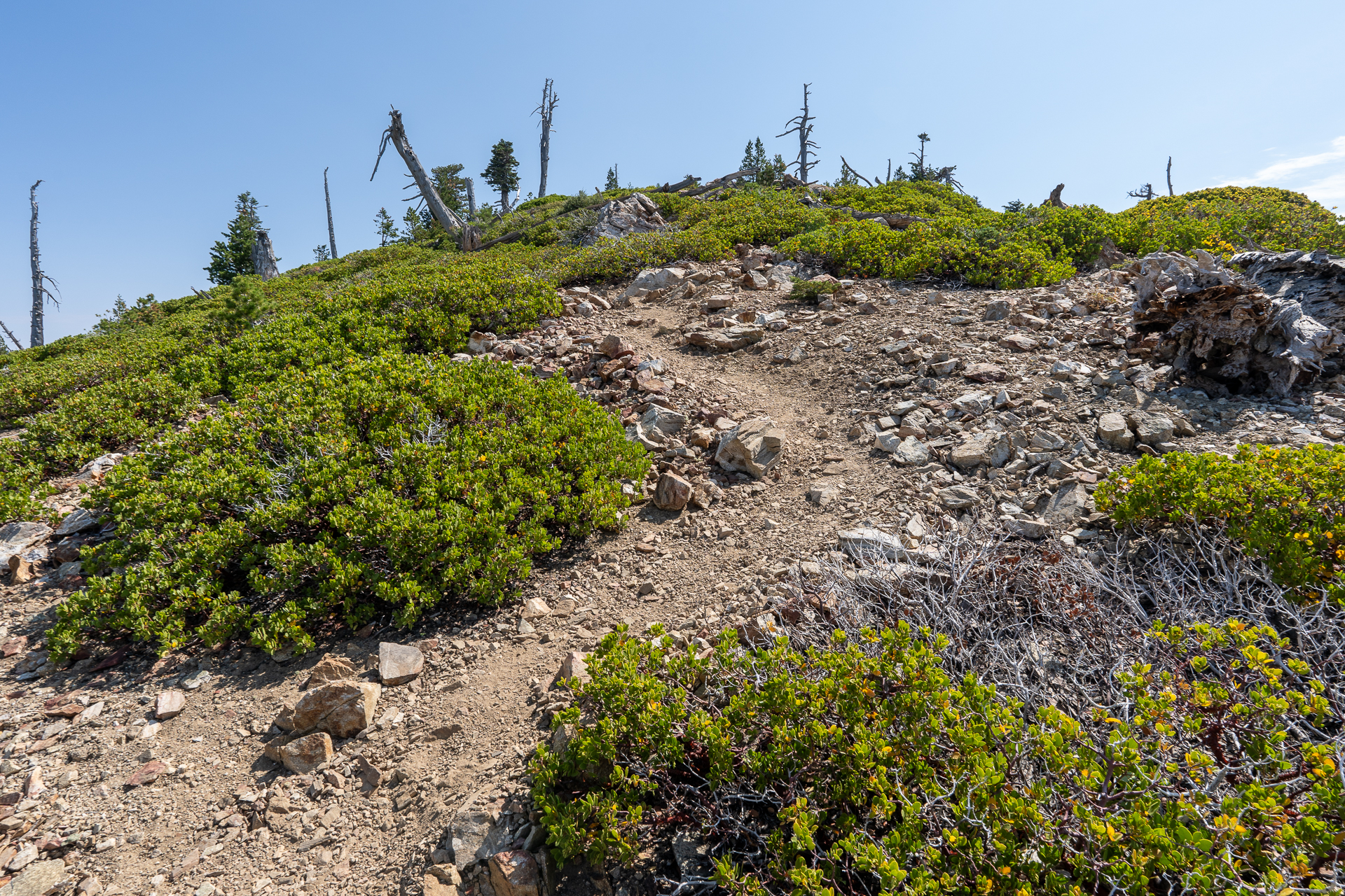 Trip report photo for Sugaloaf Peak, Ontario Peak, and Bighorn Peak Loop