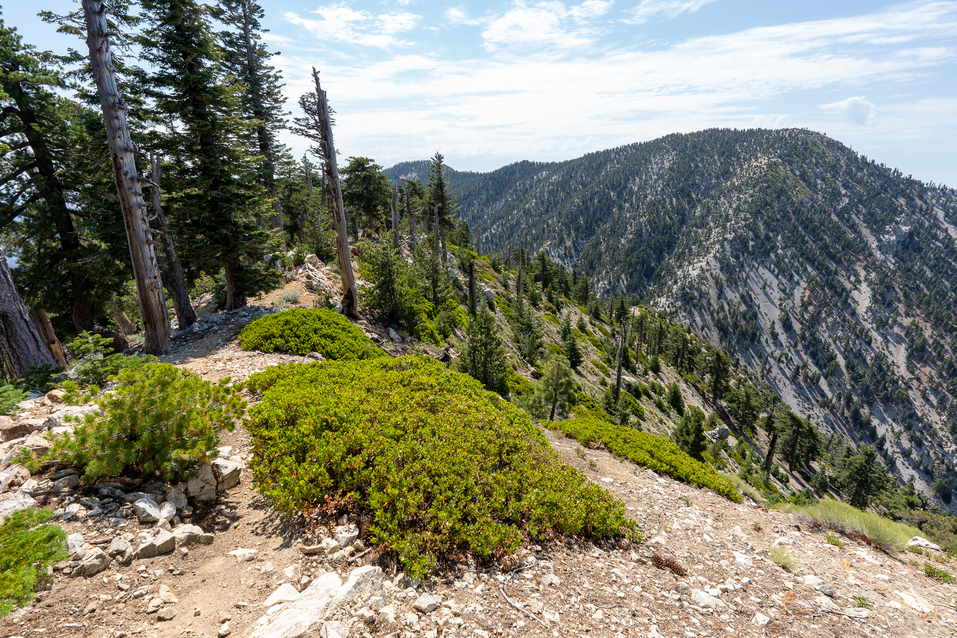 Trip report photo for Sugaloaf Peak, Ontario Peak, and Bighorn Peak Loop
