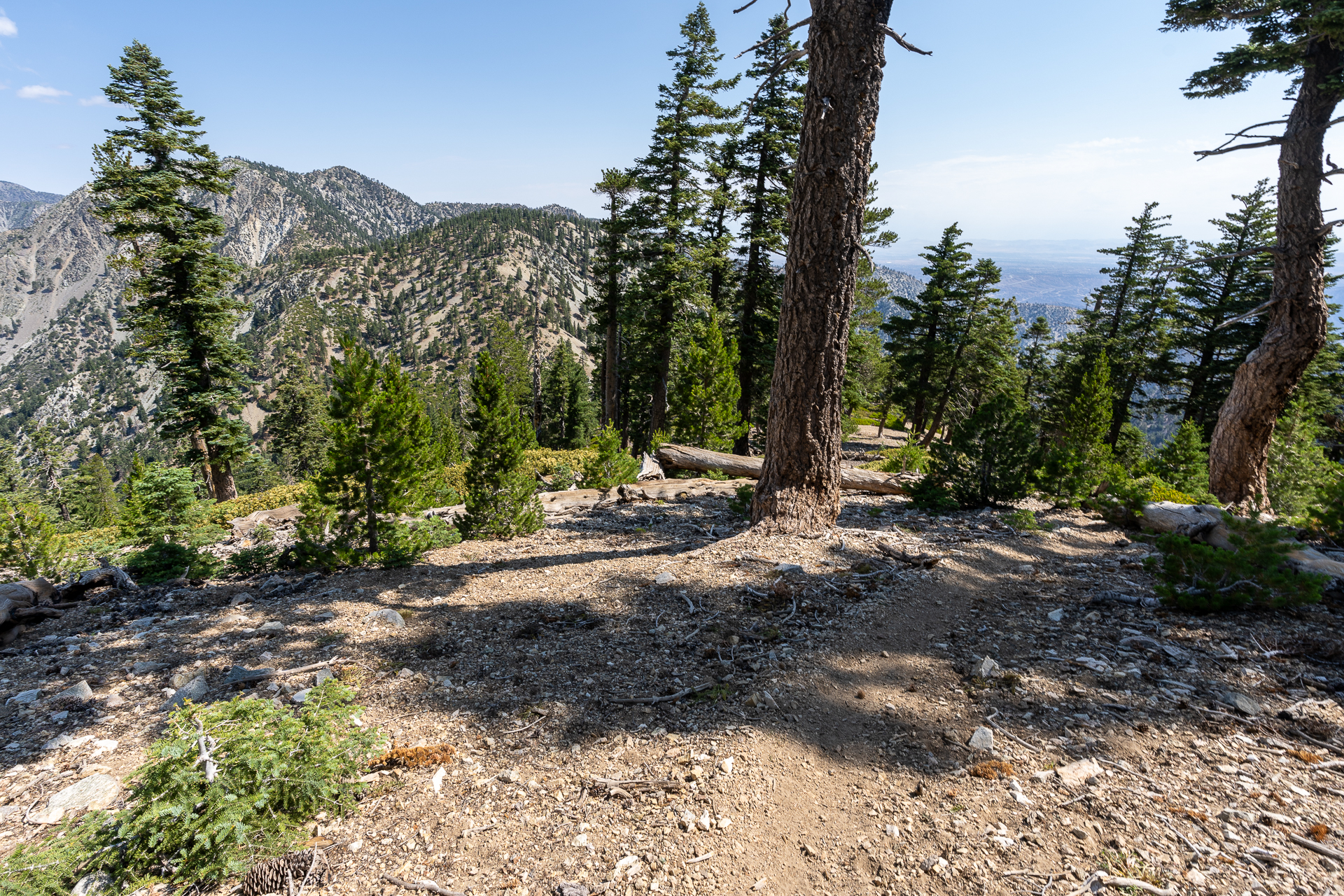 Trip report photo for Sugaloaf Peak, Ontario Peak, and Bighorn Peak Loop