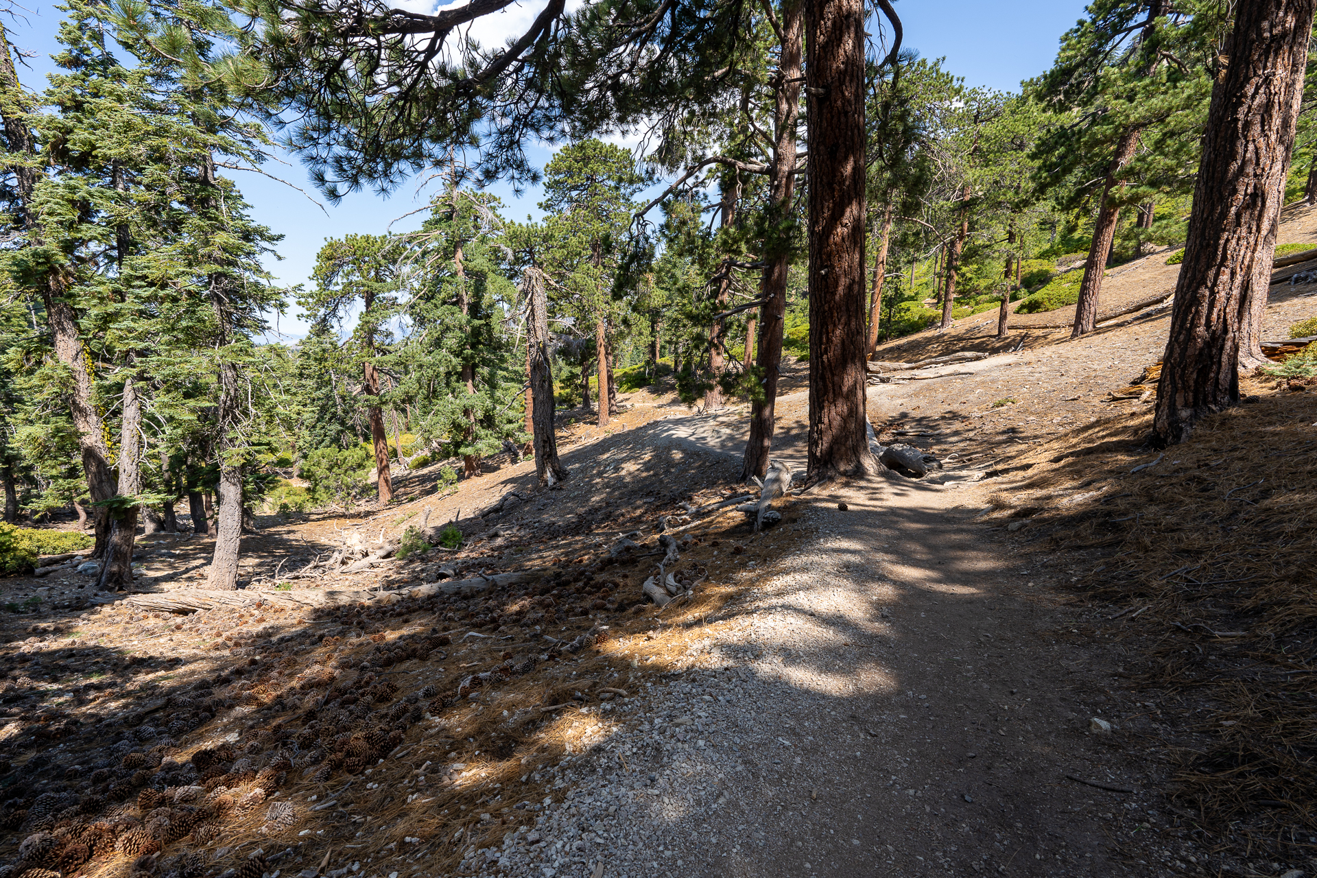 Trip report photo for Sugaloaf Peak, Ontario Peak, and Bighorn Peak Loop