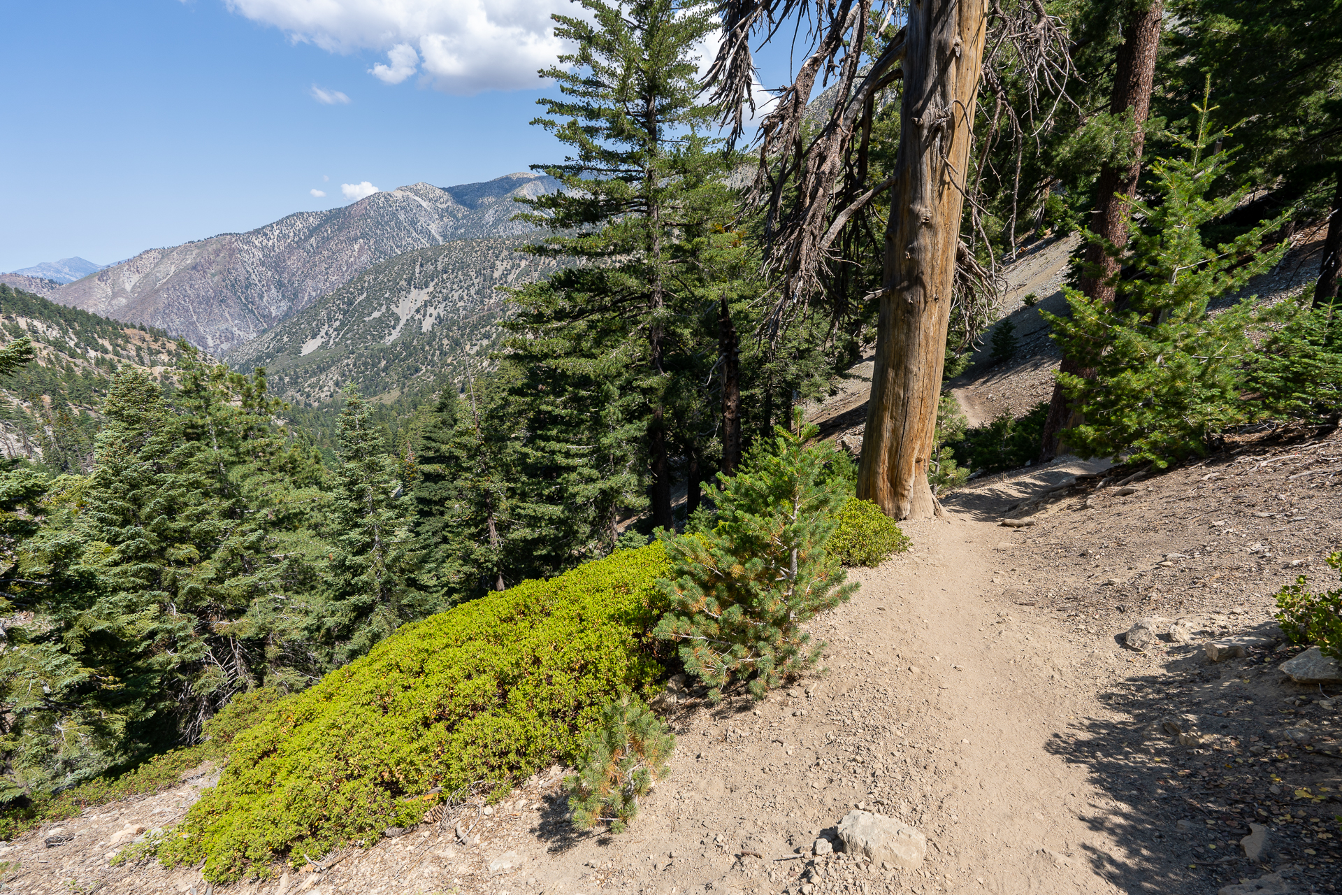 Trip report photo for Sugaloaf Peak, Ontario Peak, and Bighorn Peak Loop