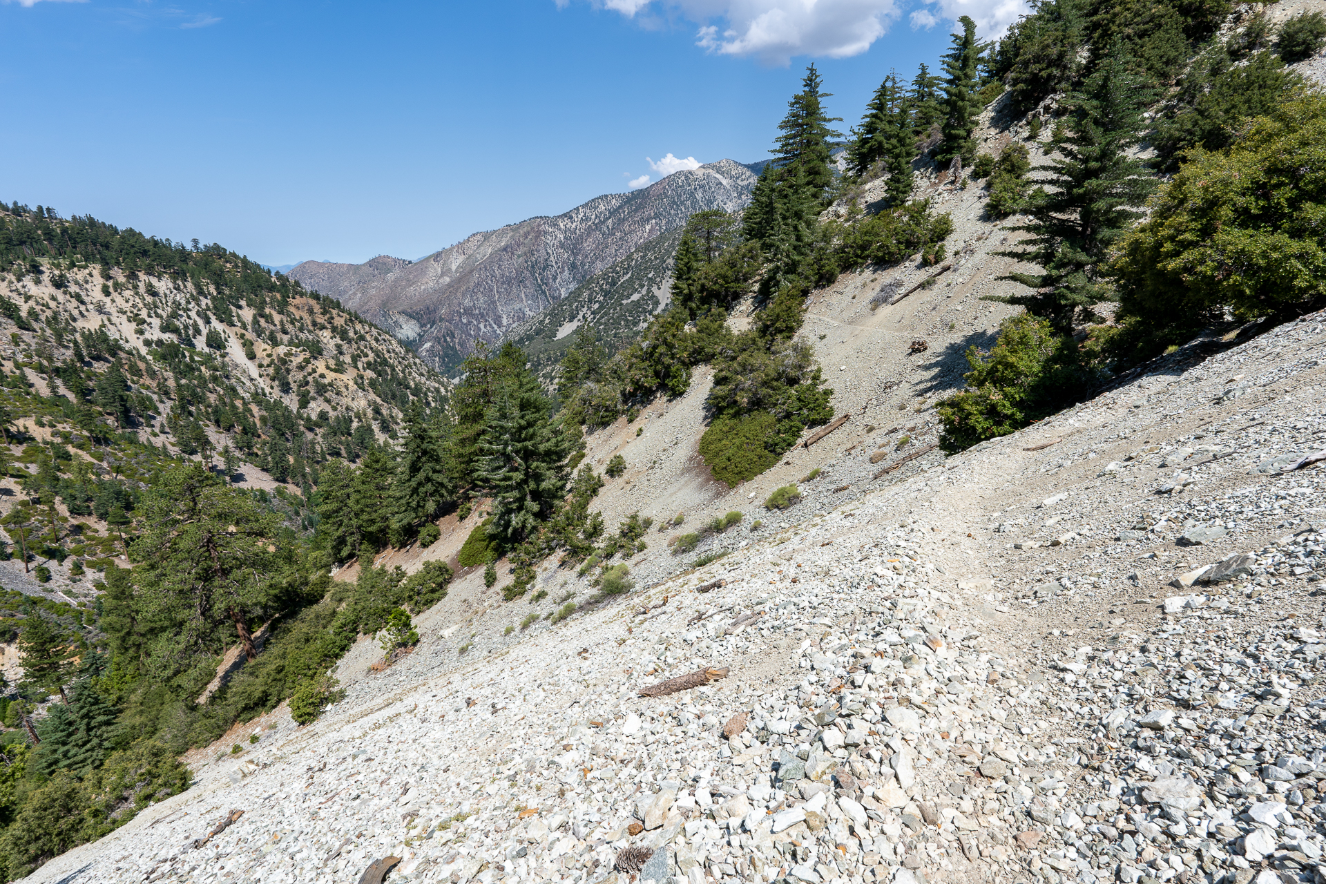 Trip report photo for Sugaloaf Peak, Ontario Peak, and Bighorn Peak Loop