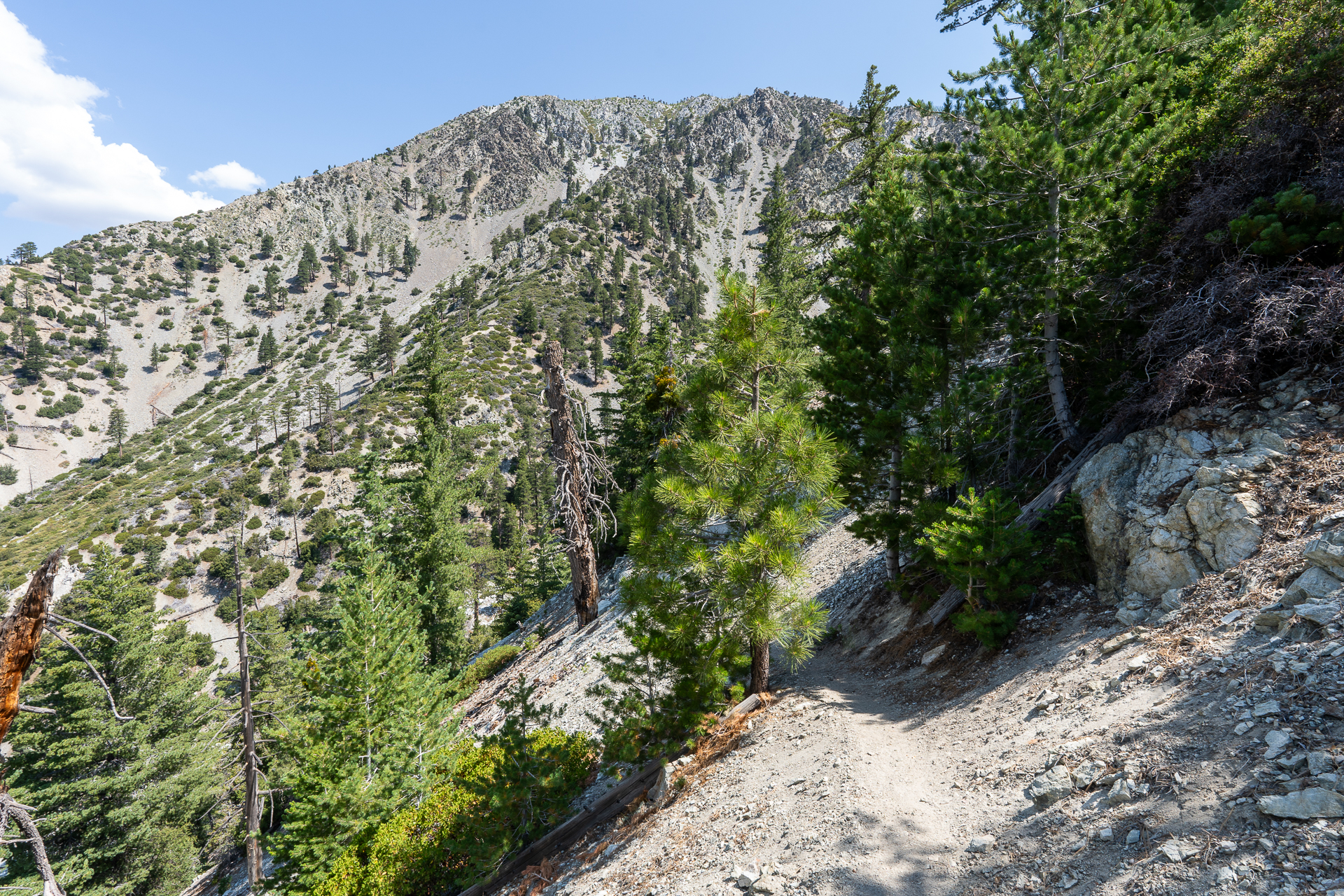Trip report photo for Sugaloaf Peak, Ontario Peak, and Bighorn Peak Loop
