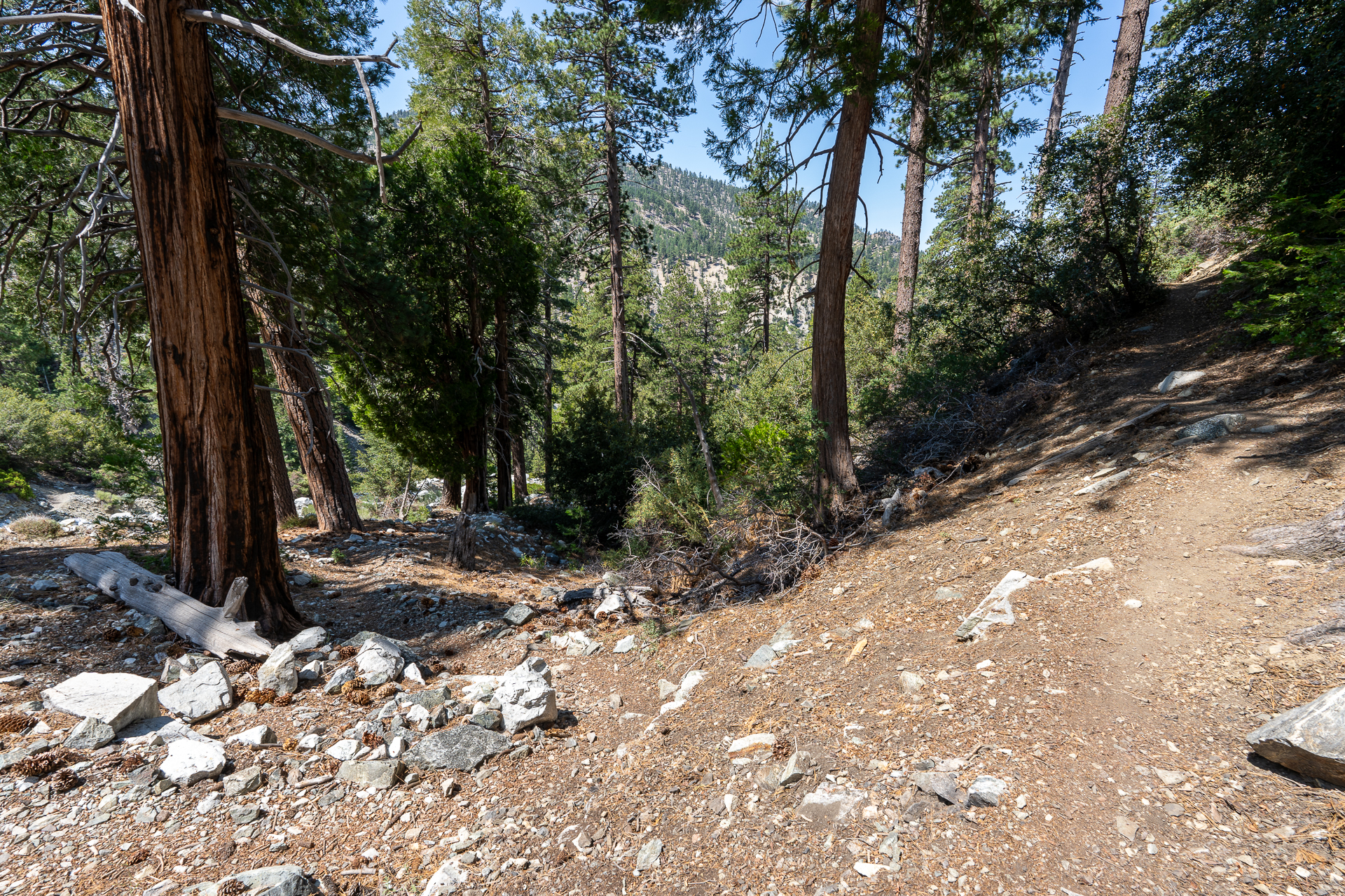 Trip report photo for Sugaloaf Peak, Ontario Peak, and Bighorn Peak Loop