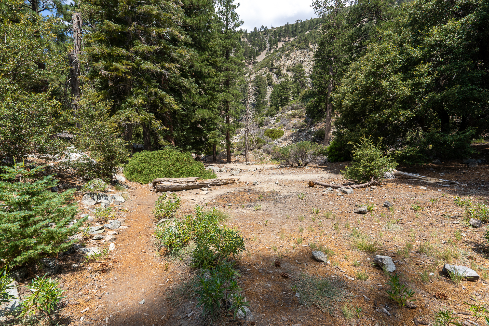Trip report photo for Sugaloaf Peak, Ontario Peak, and Bighorn Peak Loop