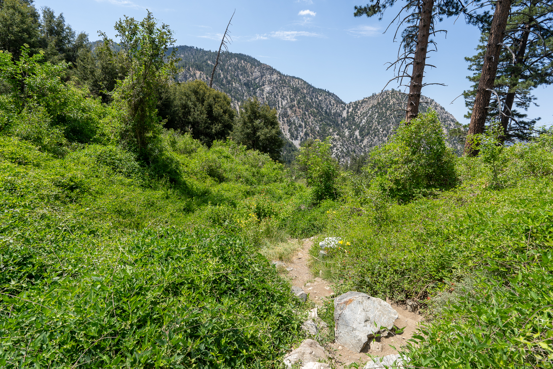 Trip report photo for Sugaloaf Peak, Ontario Peak, and Bighorn Peak Loop