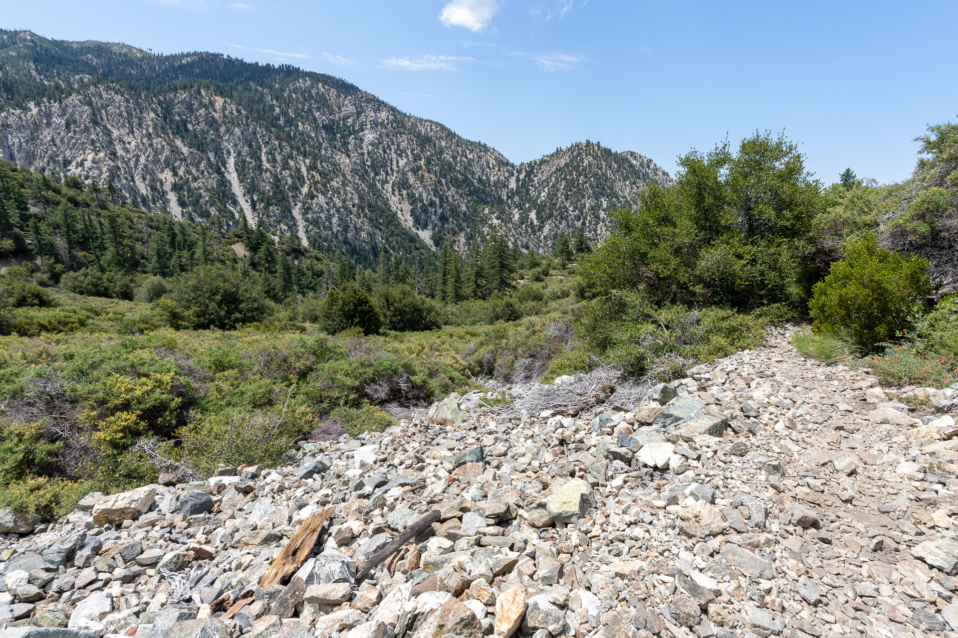 Trip report photo for Sugaloaf Peak, Ontario Peak, and Bighorn Peak Loop