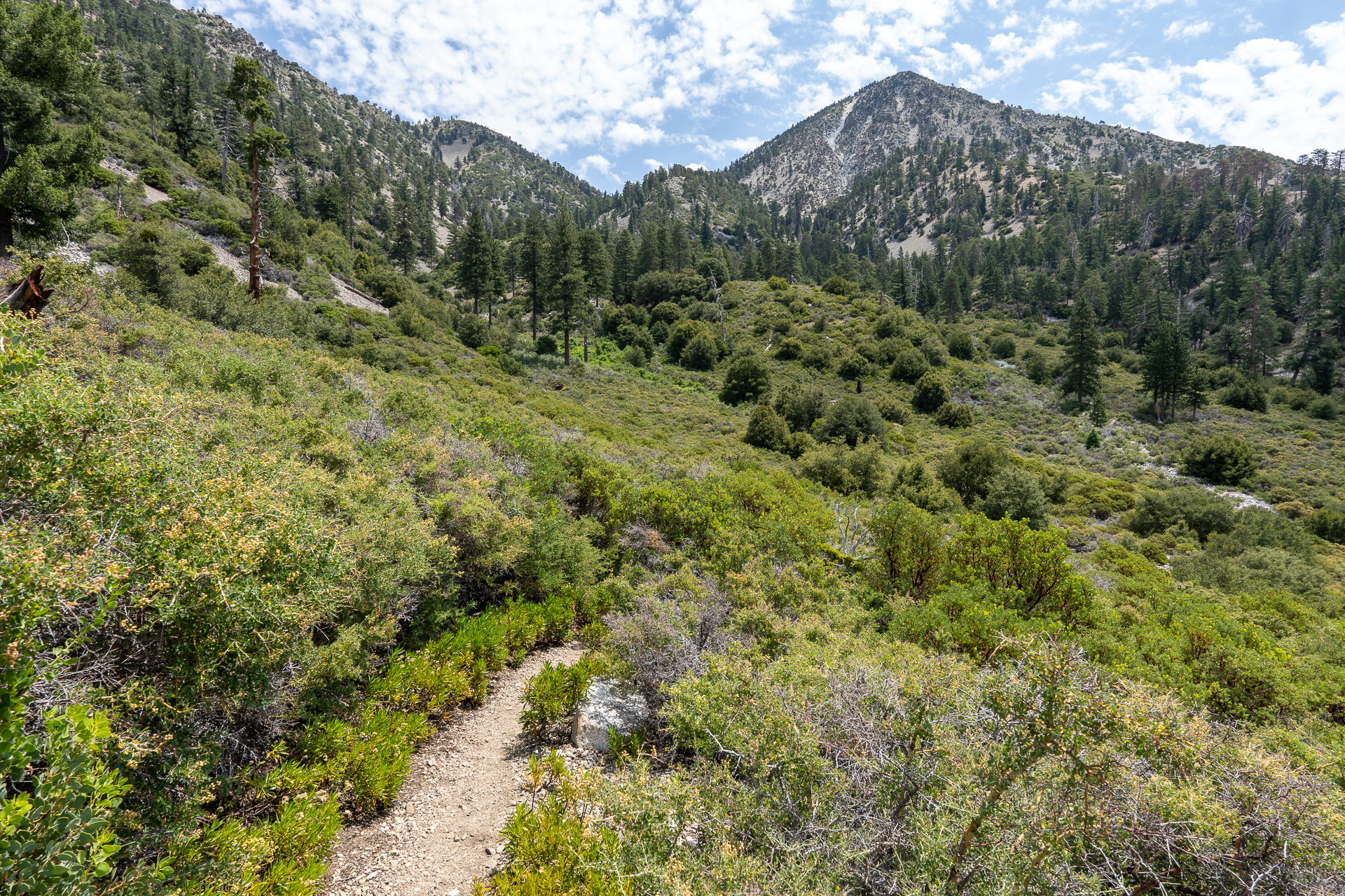 Trip report photo for Sugaloaf Peak, Ontario Peak, and Bighorn Peak Loop