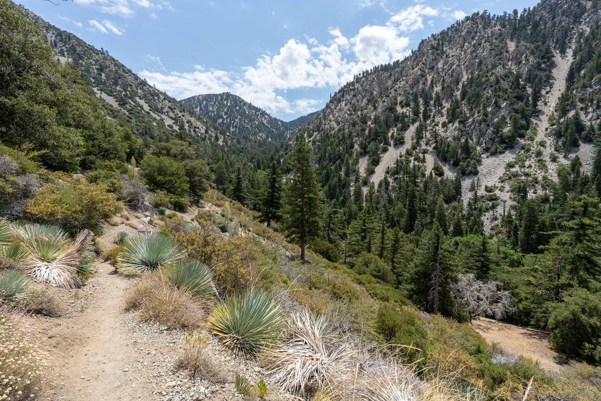 Trip report photo for Sugaloaf Peak, Ontario Peak, and Bighorn Peak Loop
