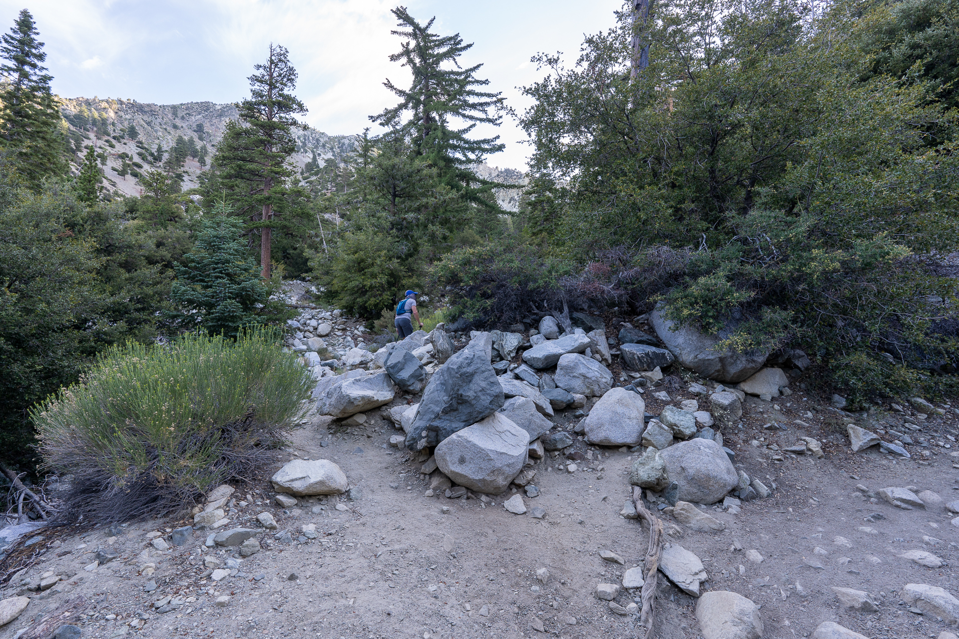 Telegraph Peak and Thunder Mountain Loop