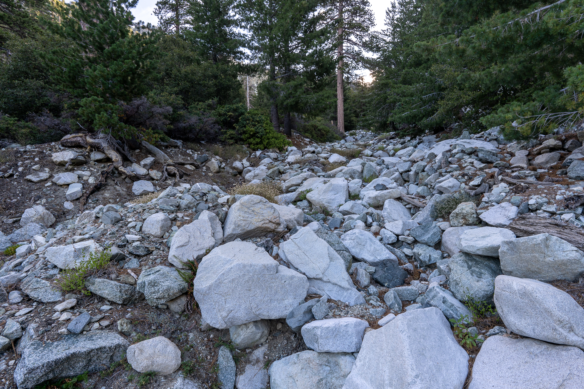 Telegraph Peak and Thunder Mountain Loop