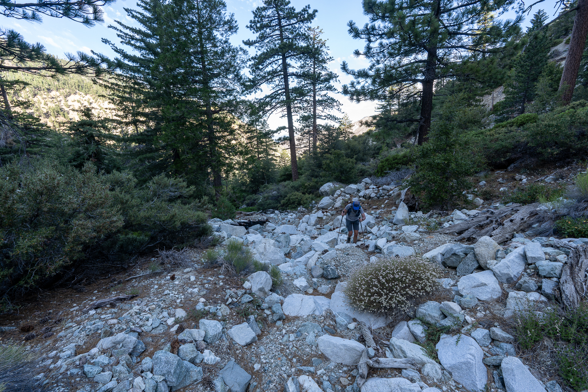 Telegraph Peak and Thunder Mountain Loop