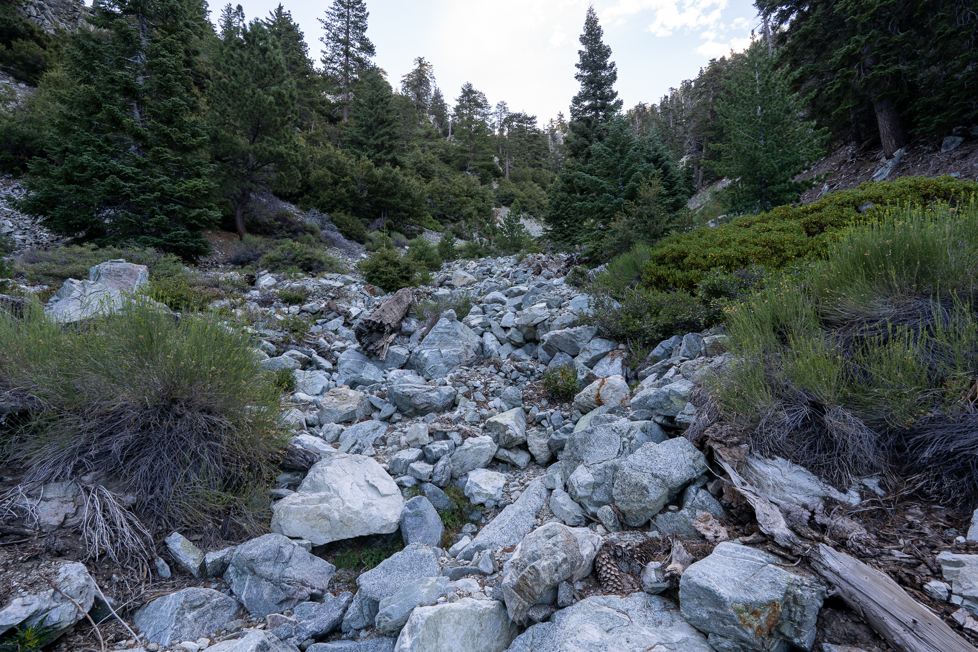 Telegraph Peak and Thunder Mountain Loop