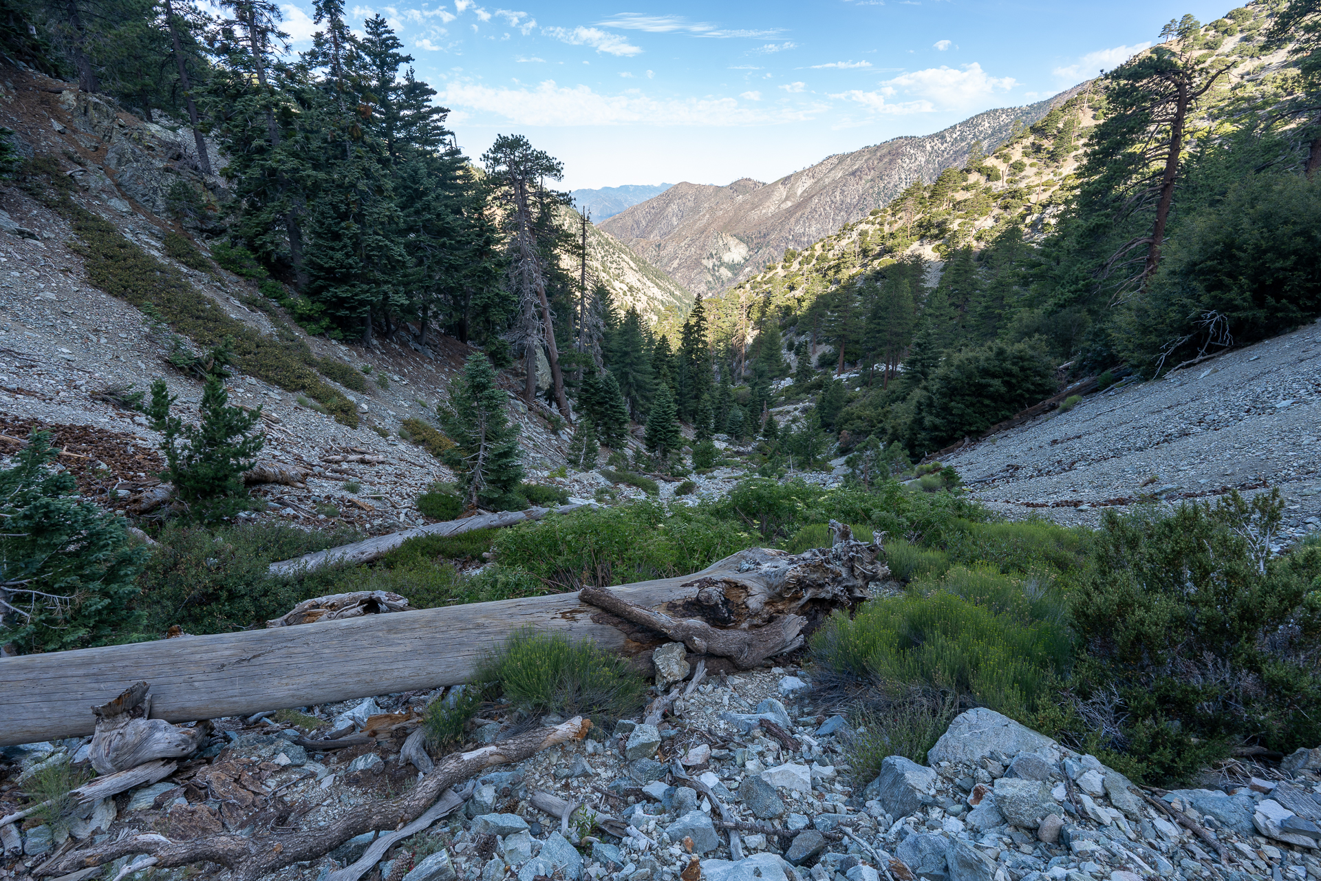 Telegraph Peak and Thunder Mountain Loop