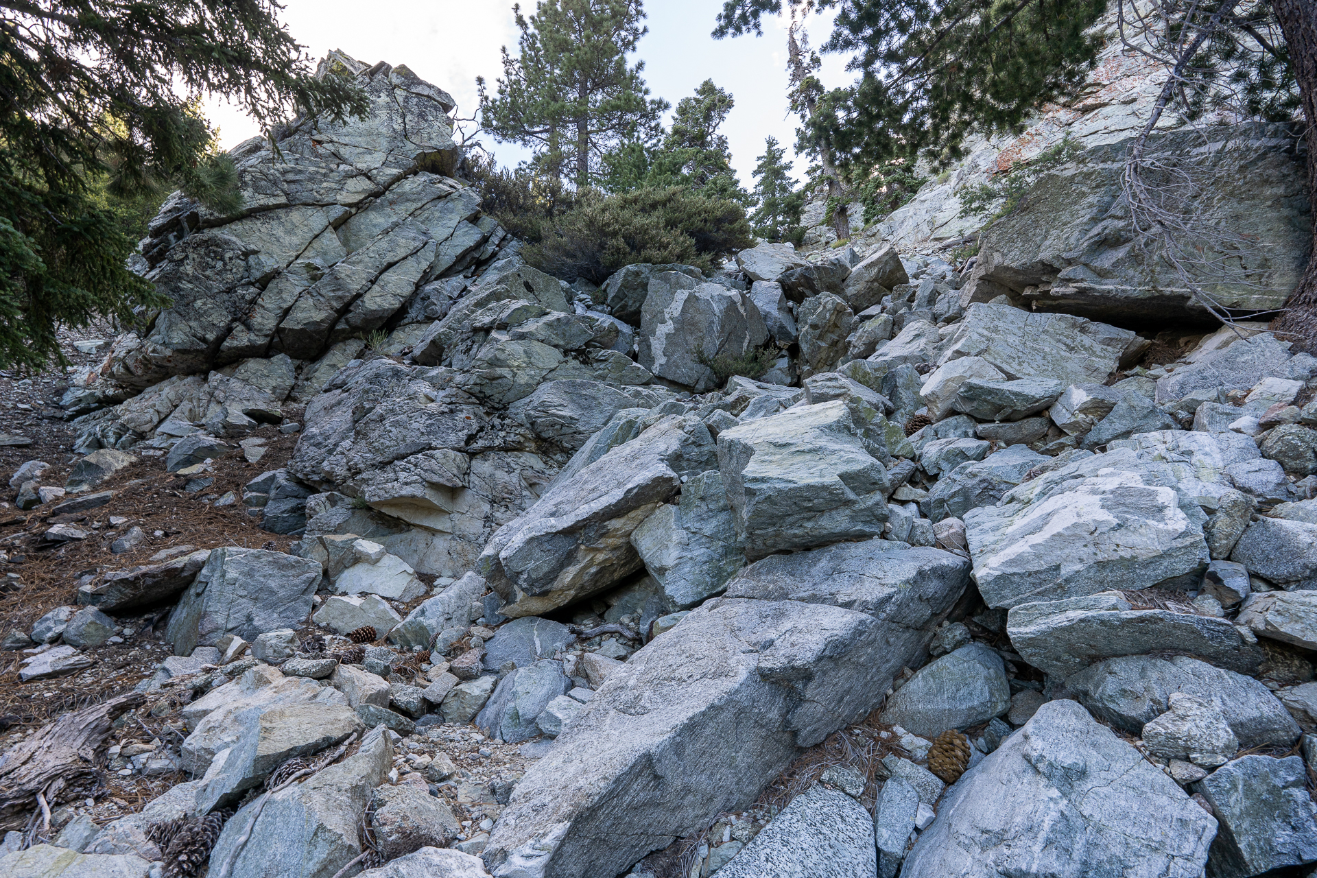 Telegraph Peak and Thunder Mountain Loop
