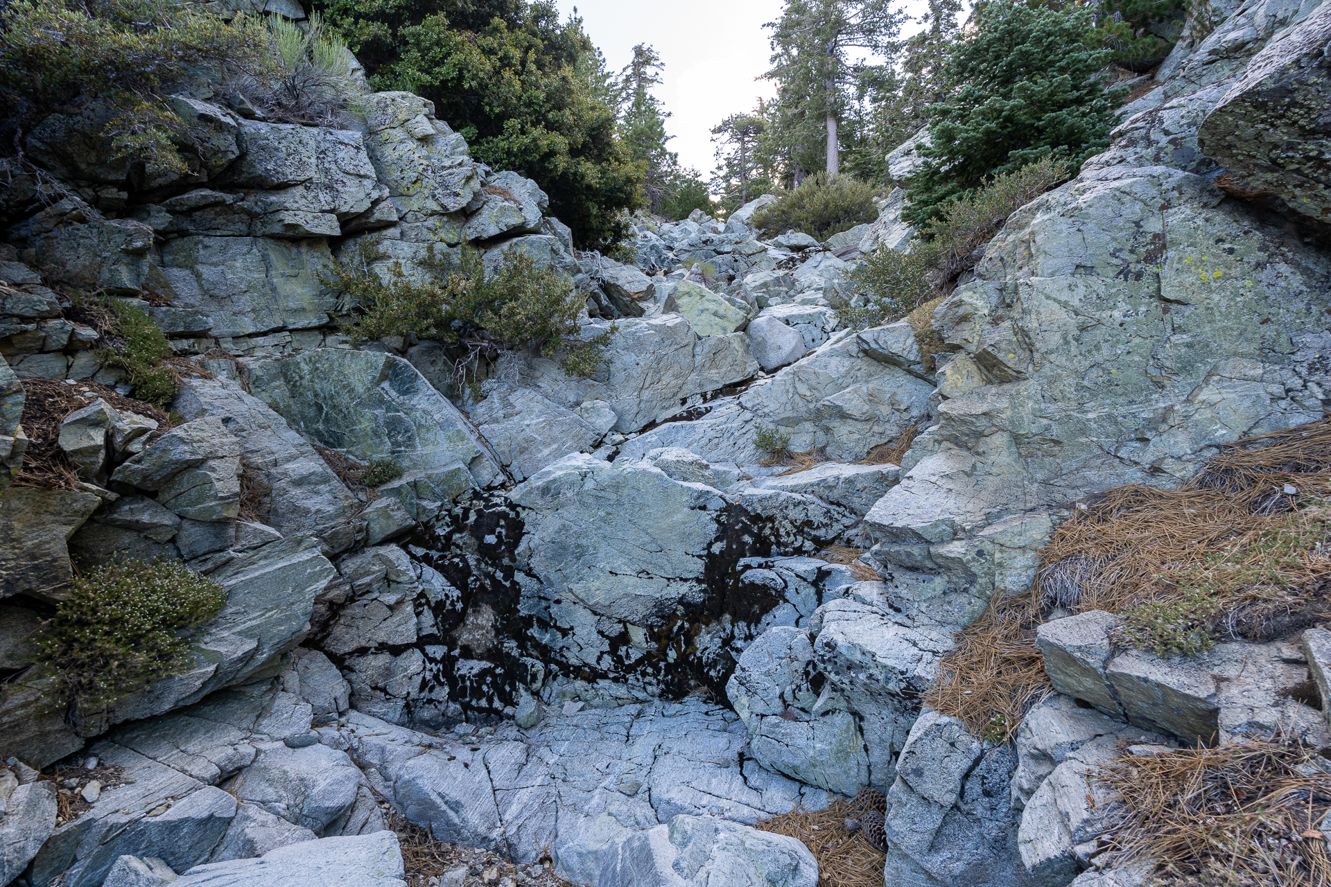 Telegraph Peak and Thunder Mountain Loop