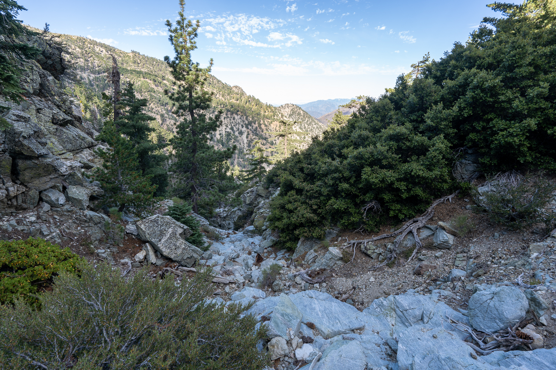 Telegraph Peak and Thunder Mountain Loop via Timbergraph Wash and Cedar Canyon