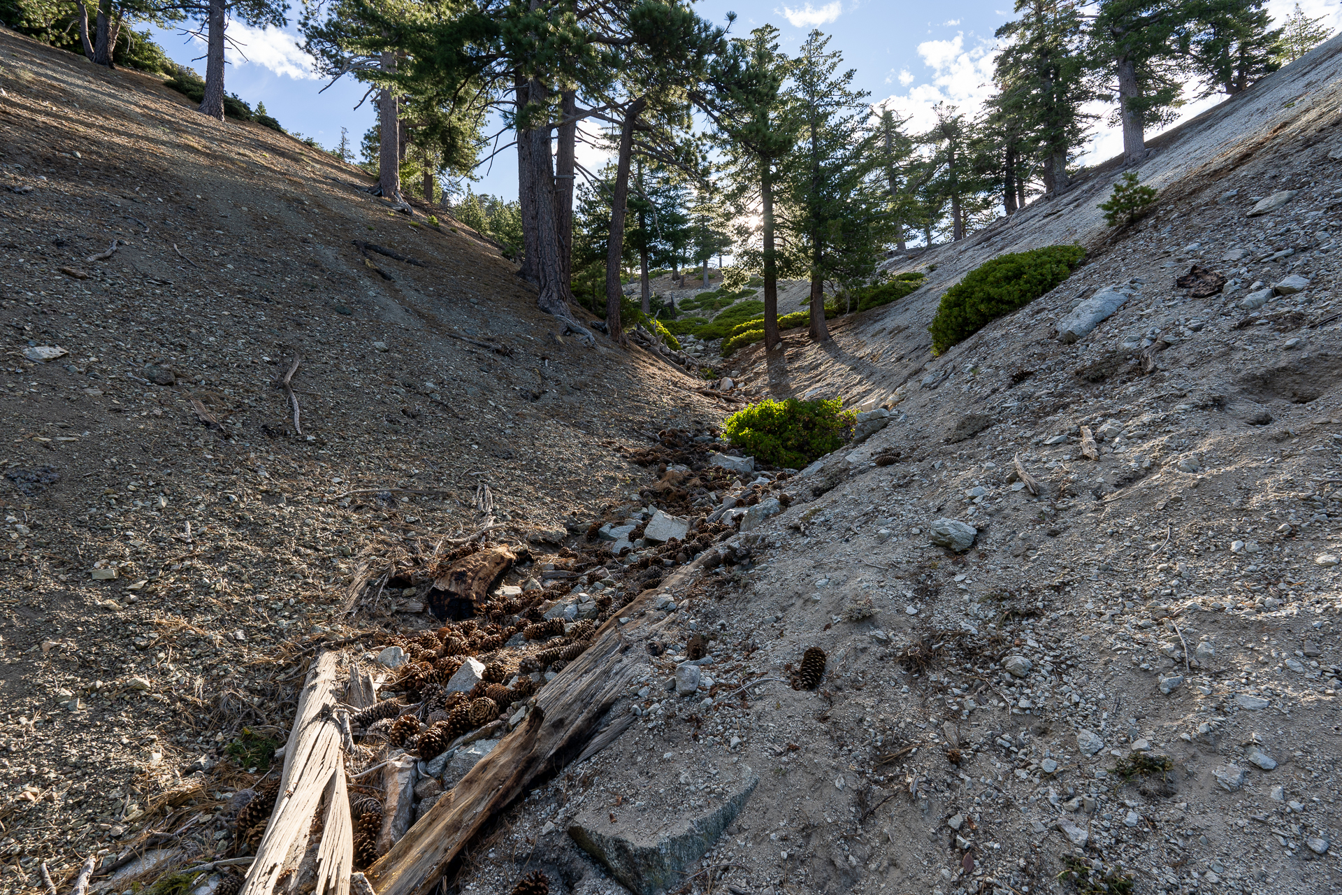 Telegraph Peak and Thunder Mountain Loop