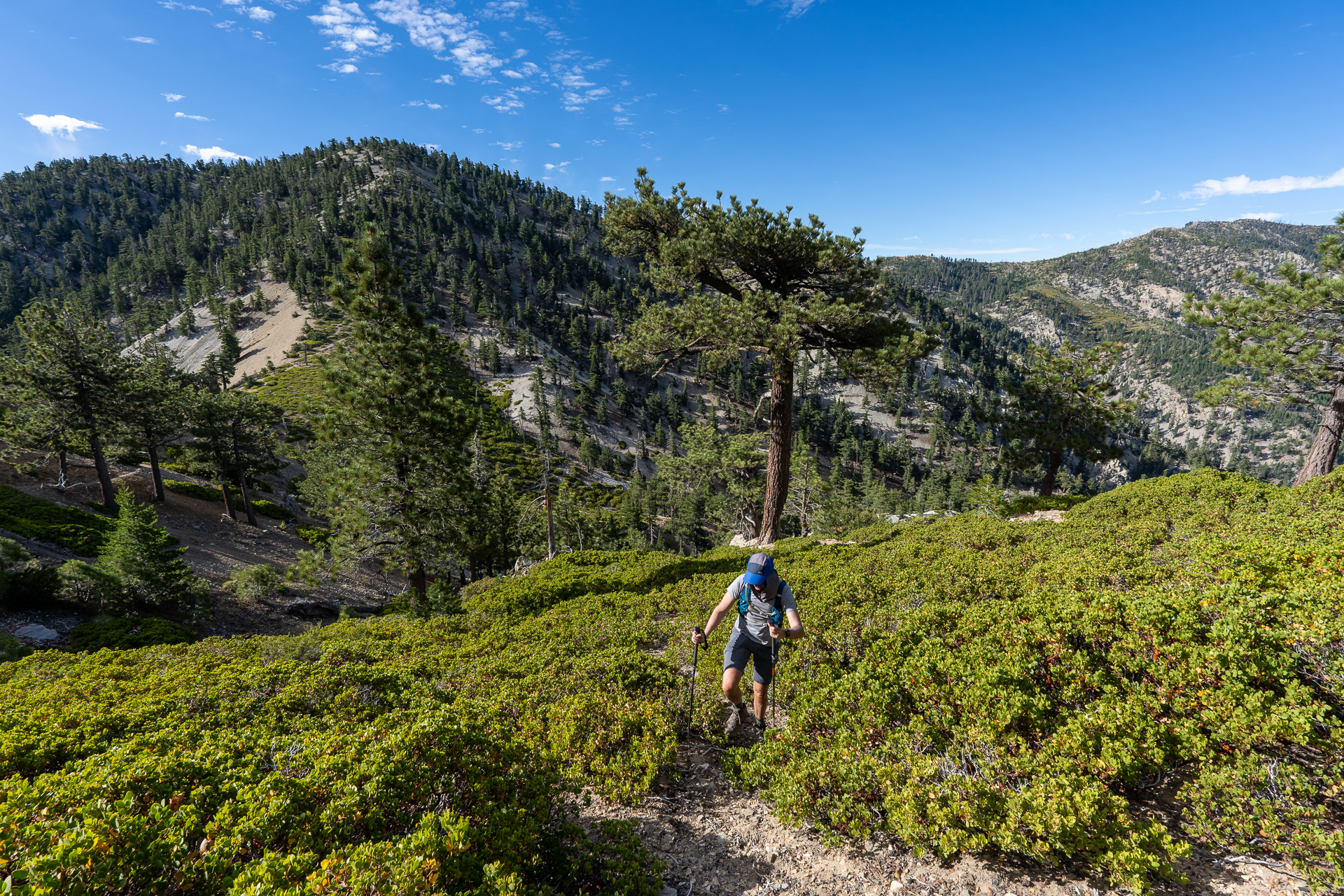 Telegraph Peak and Thunder Mountain Loop