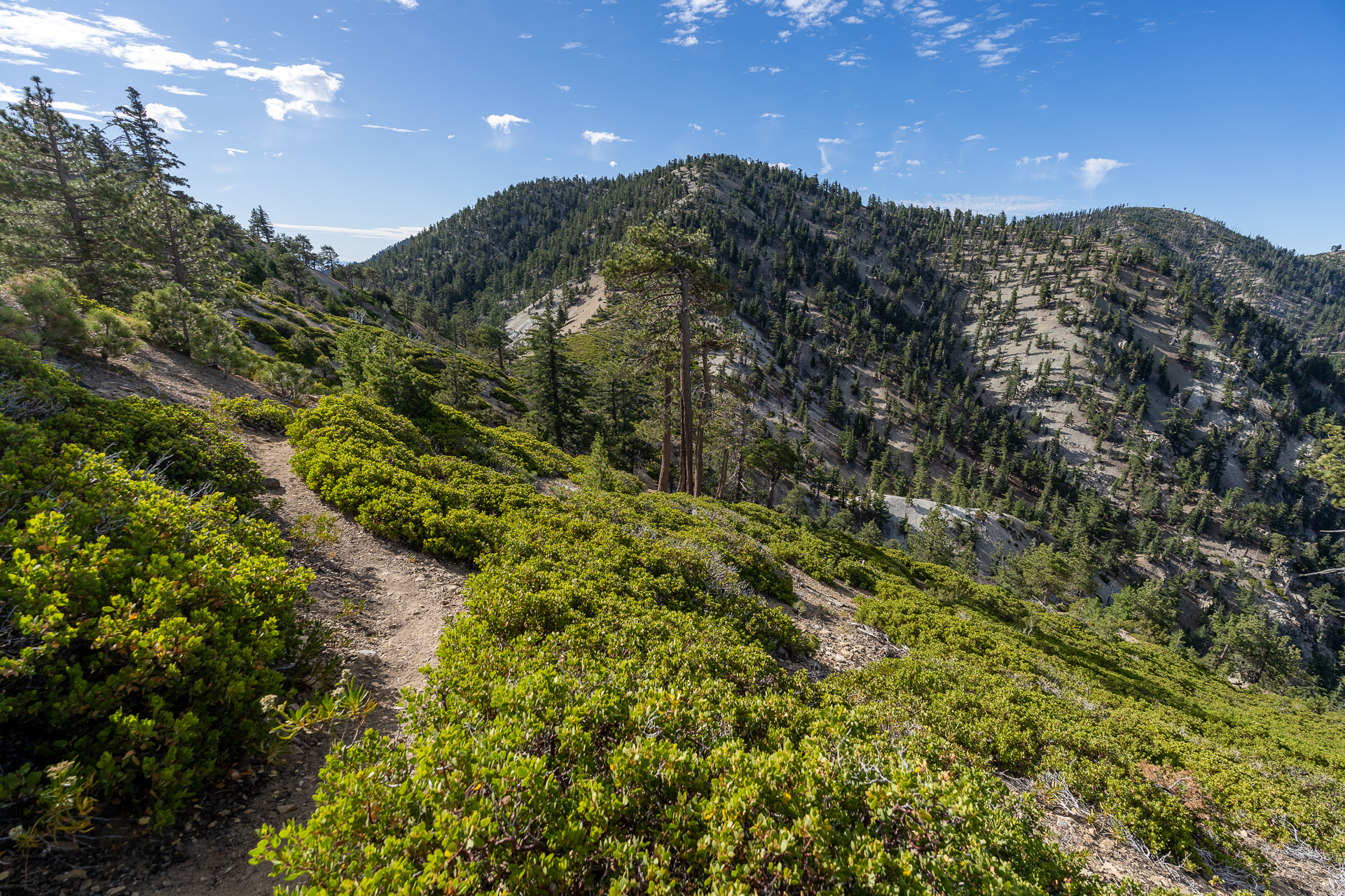 Telegraph Peak and Thunder Mountain Loop