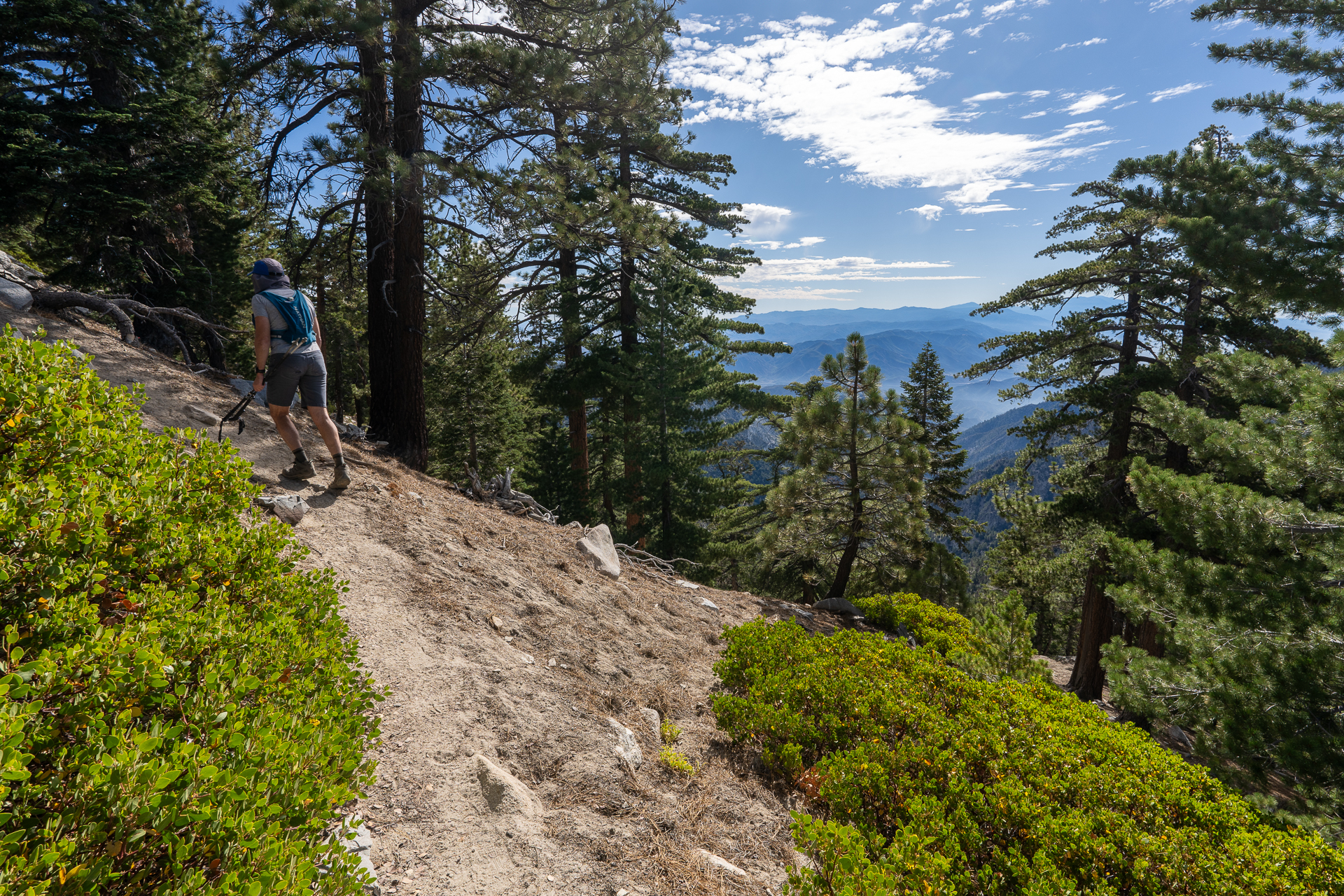 Telegraph Peak and Thunder Mountain Loop