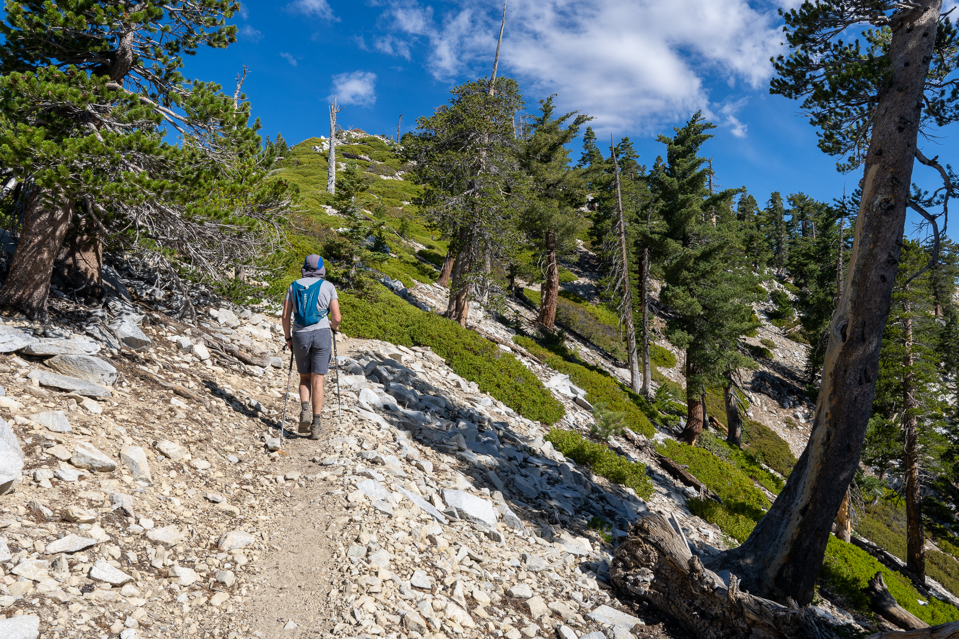 Telegraph Peak and Thunder Mountain Loop