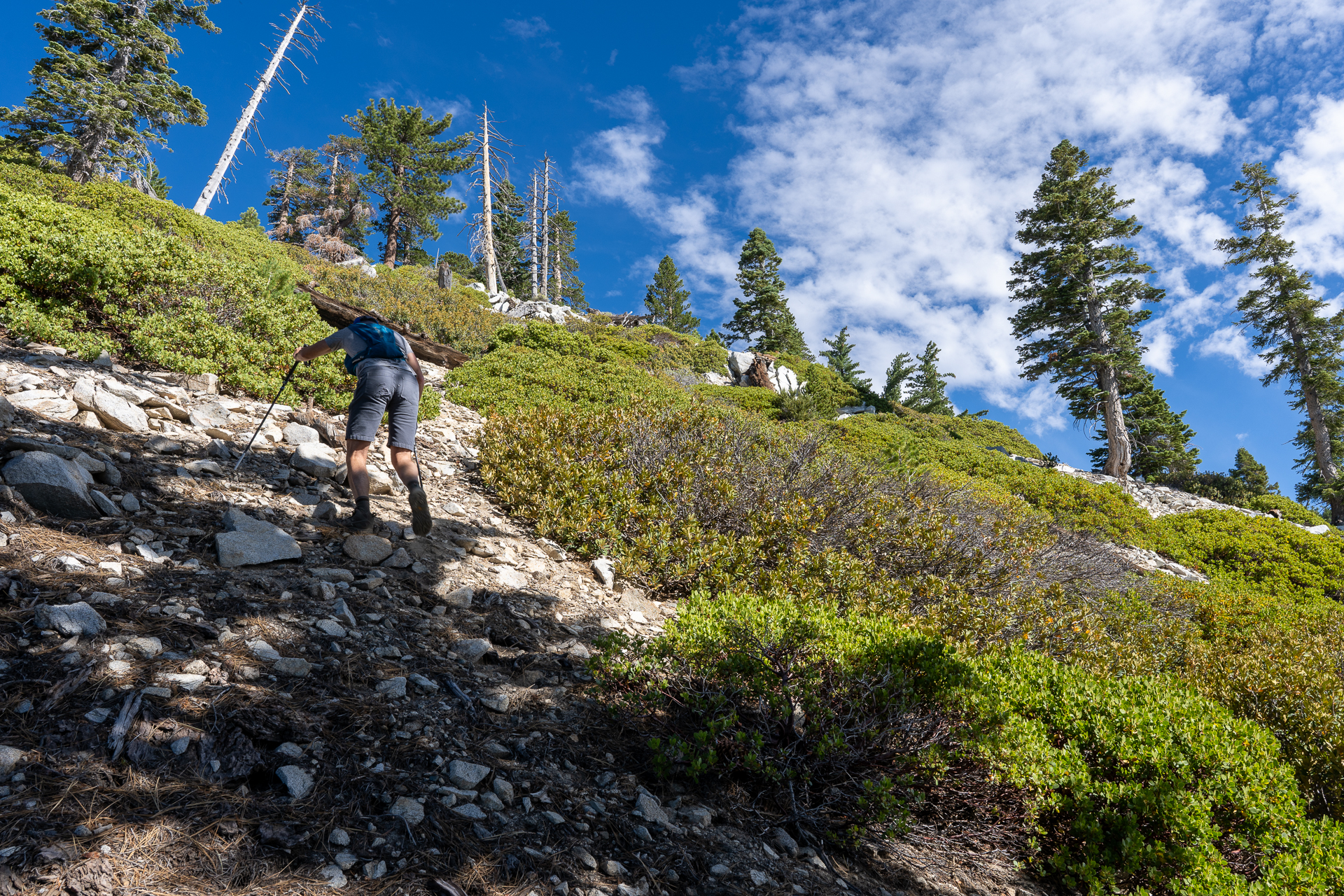 Telegraph Peak and Thunder Mountain Loop