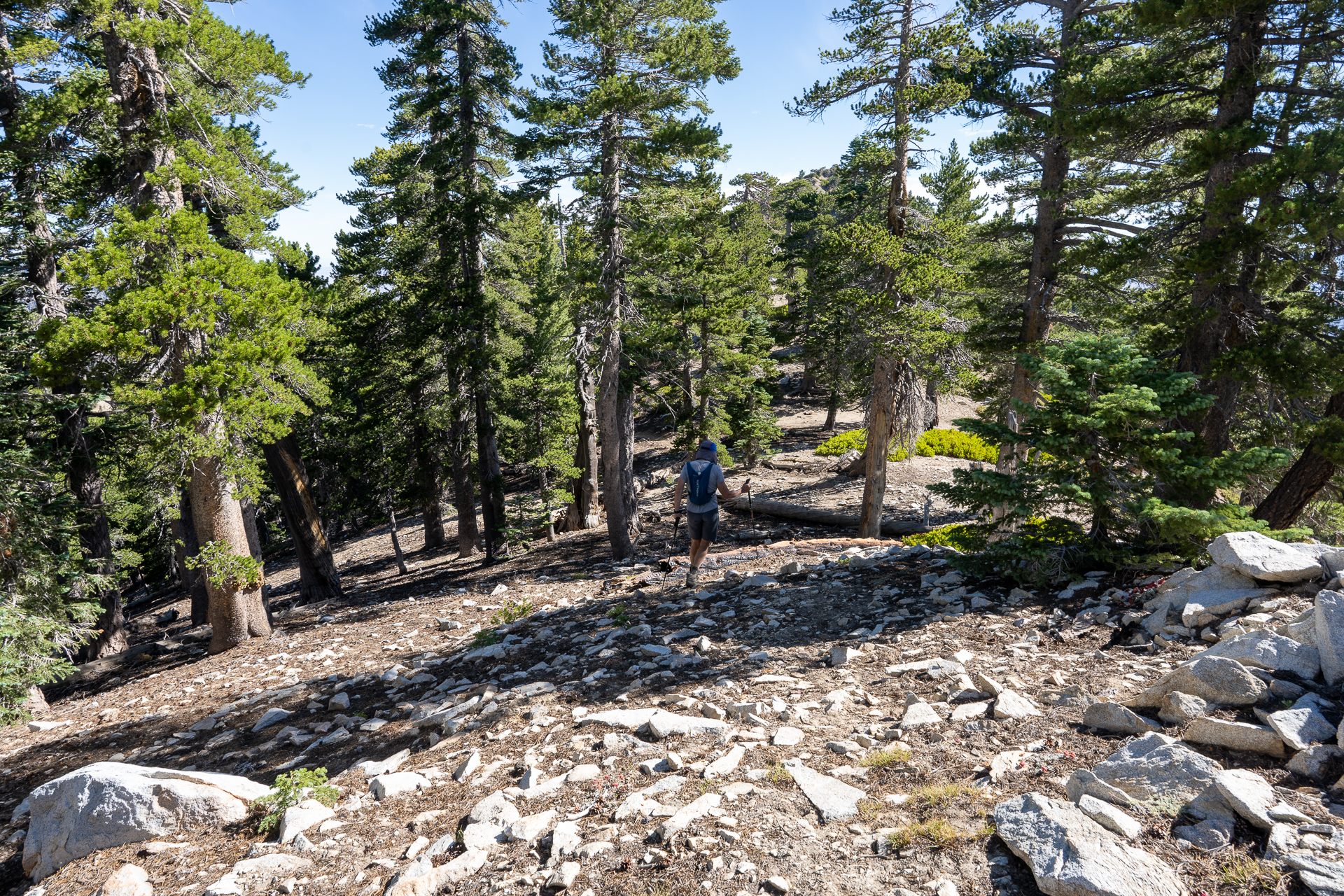 Telegraph Peak and Thunder Mountain Loop