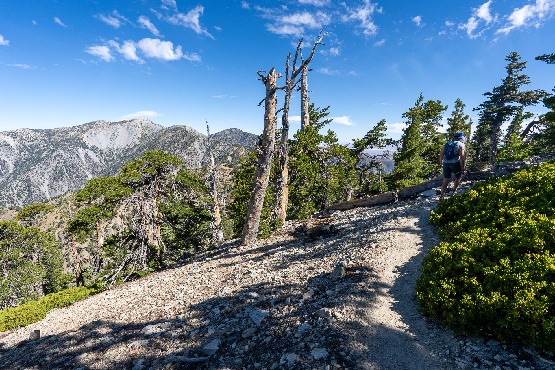Telegraph Peak and Thunder Mountain Loop