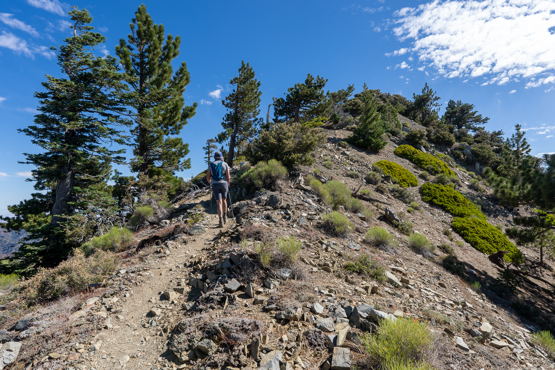 Telegraph Peak and Thunder Mountain Loop