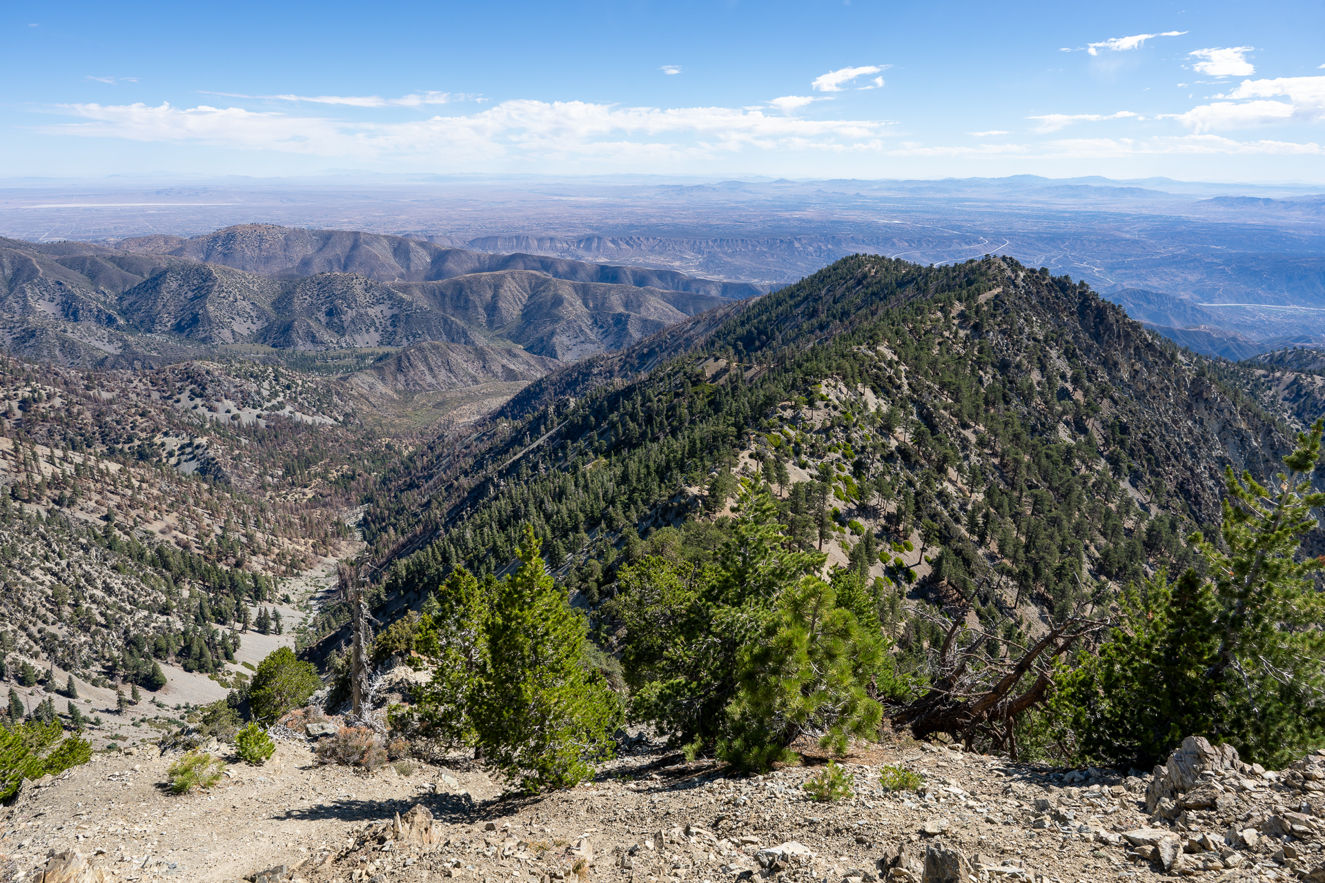Telegraph Peak and Thunder Mountain Loop