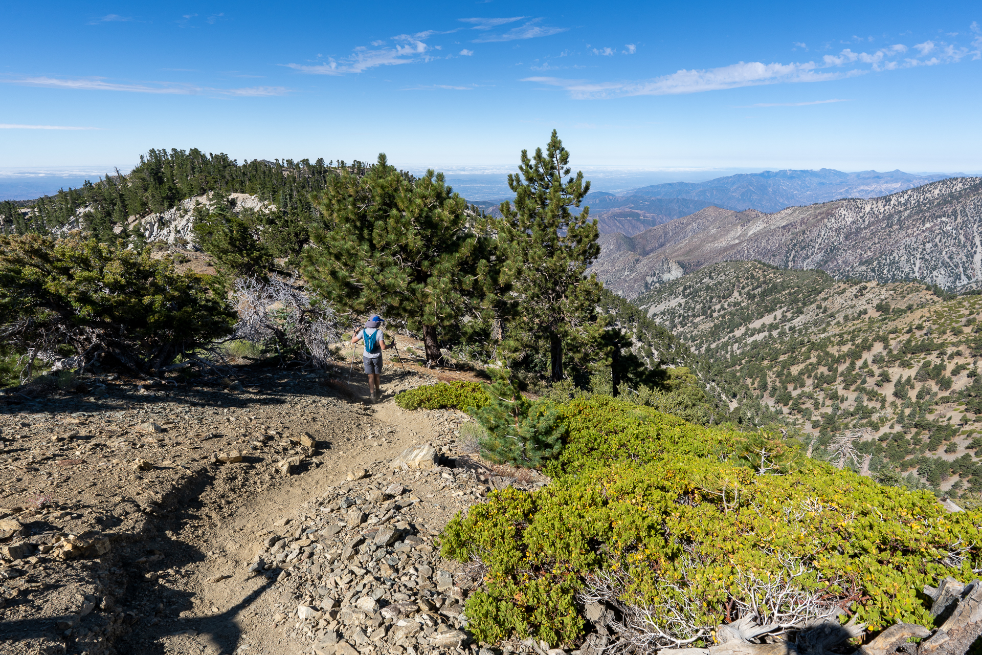 Telegraph Peak and Thunder Mountain Loop